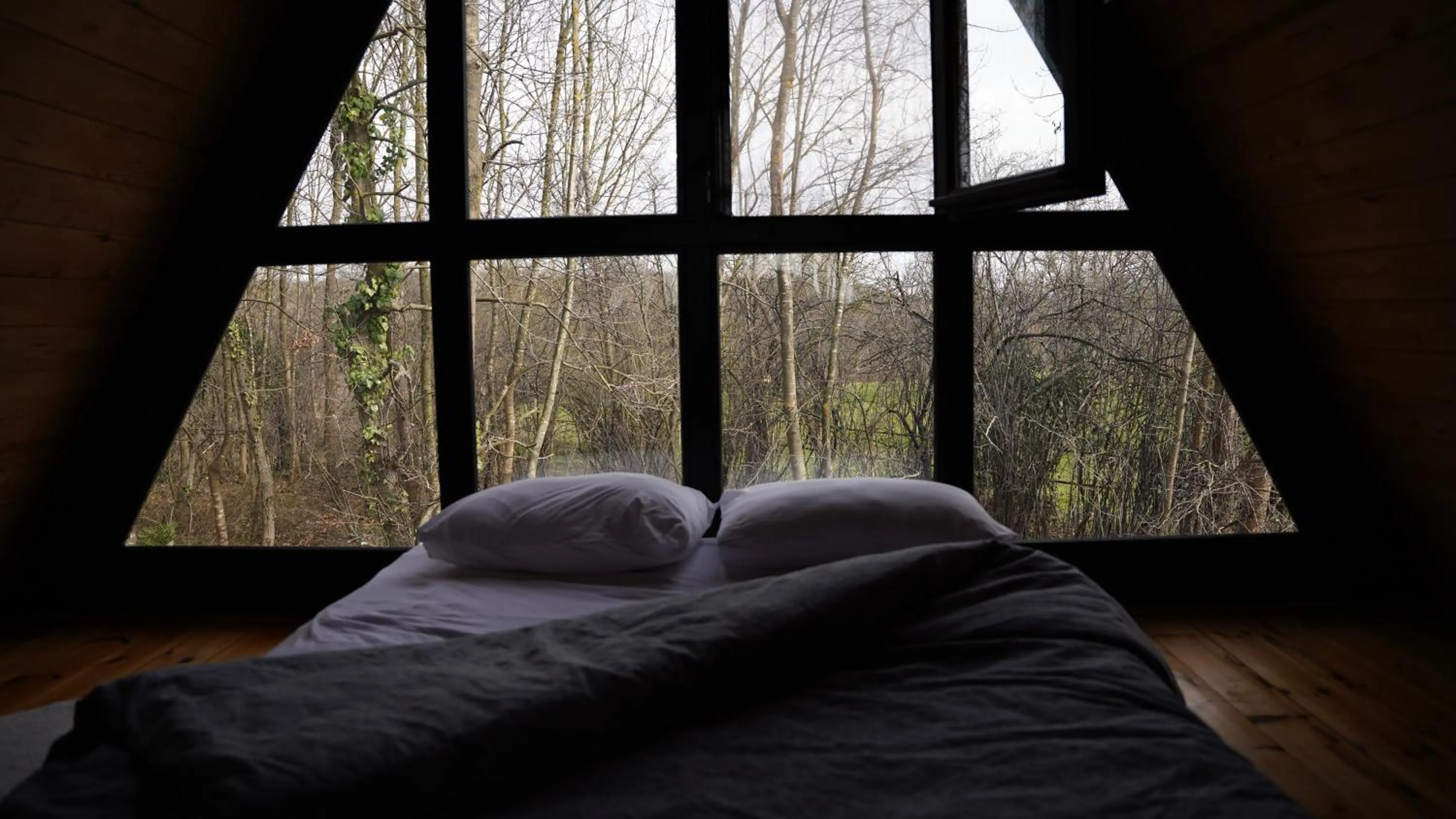 Natural landscape, Bed in Pentalow Cabin