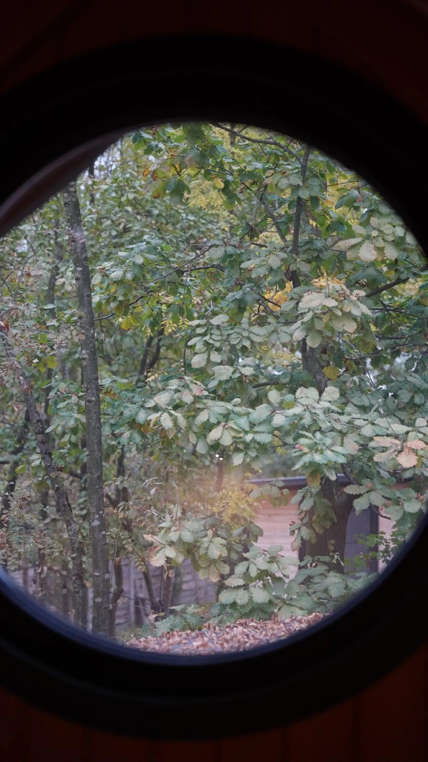 Day in Pentalow Cabin