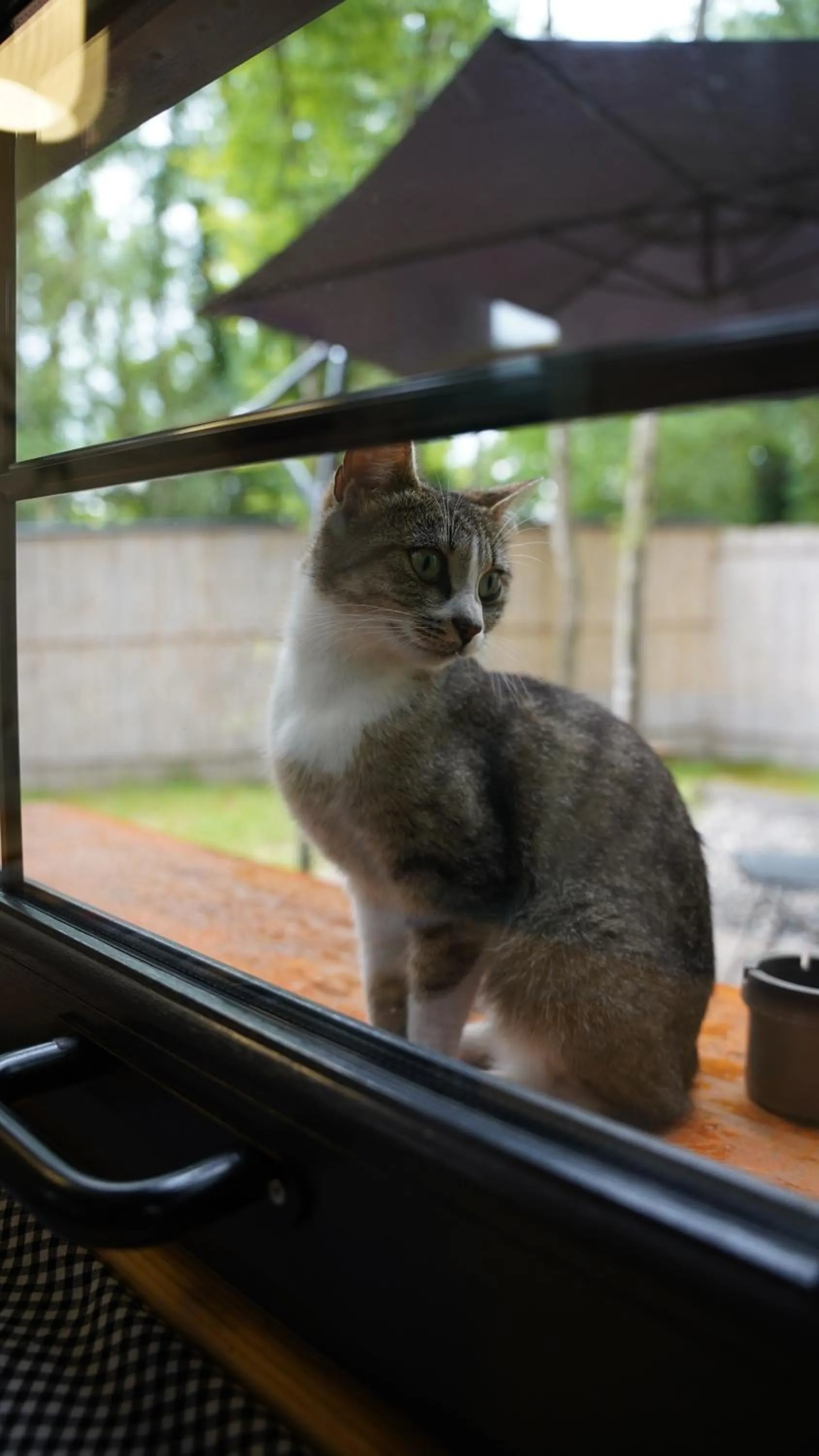 Pets in Pentalow Cabin