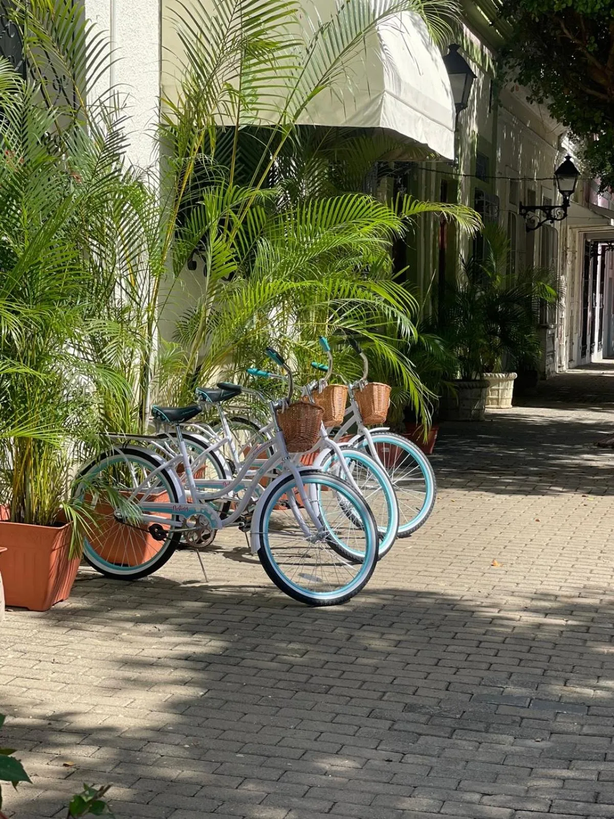 Garden in Studio 27 Colonial, Centro Histórico
