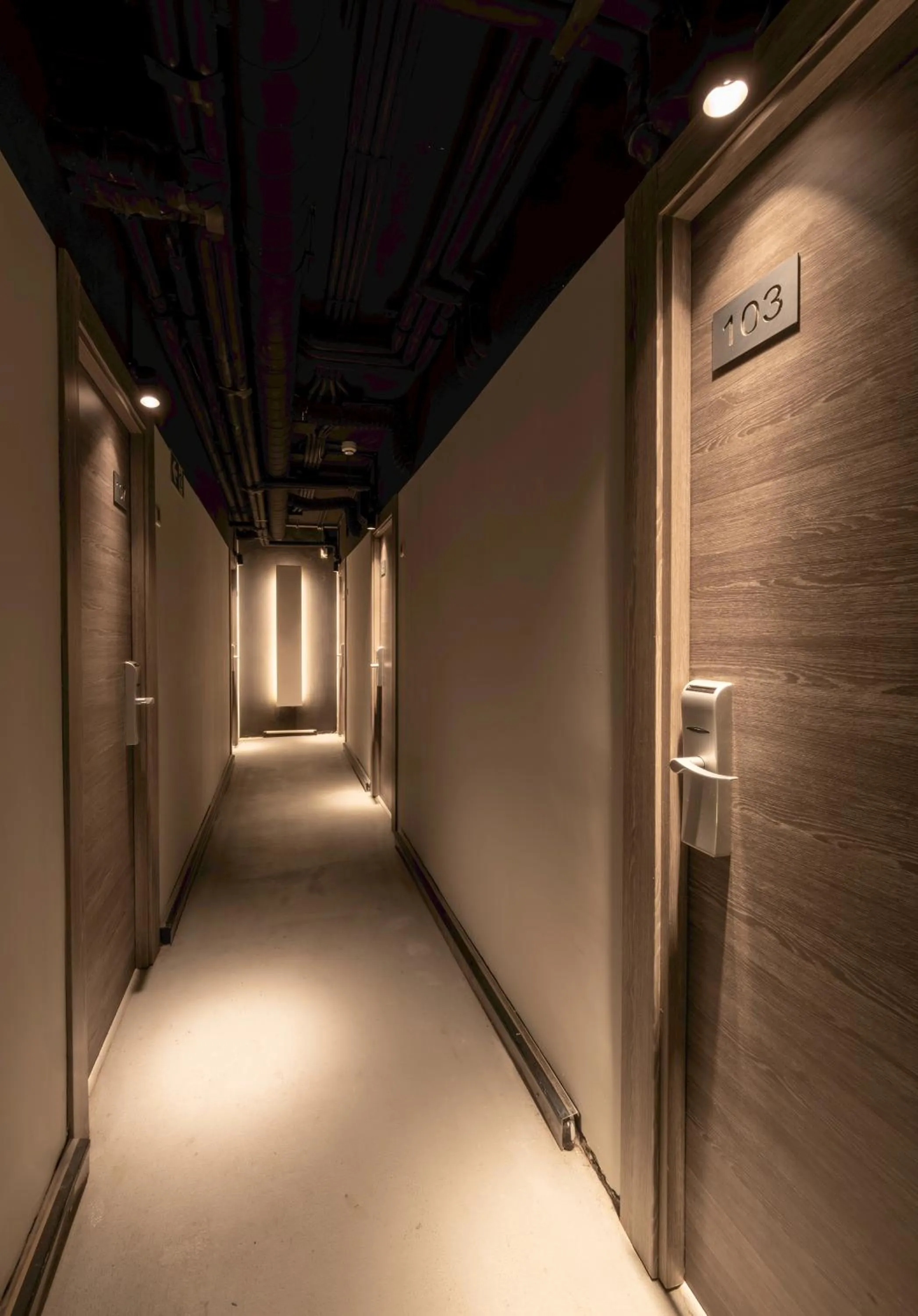 Area and facilities in Hotel Bilbi