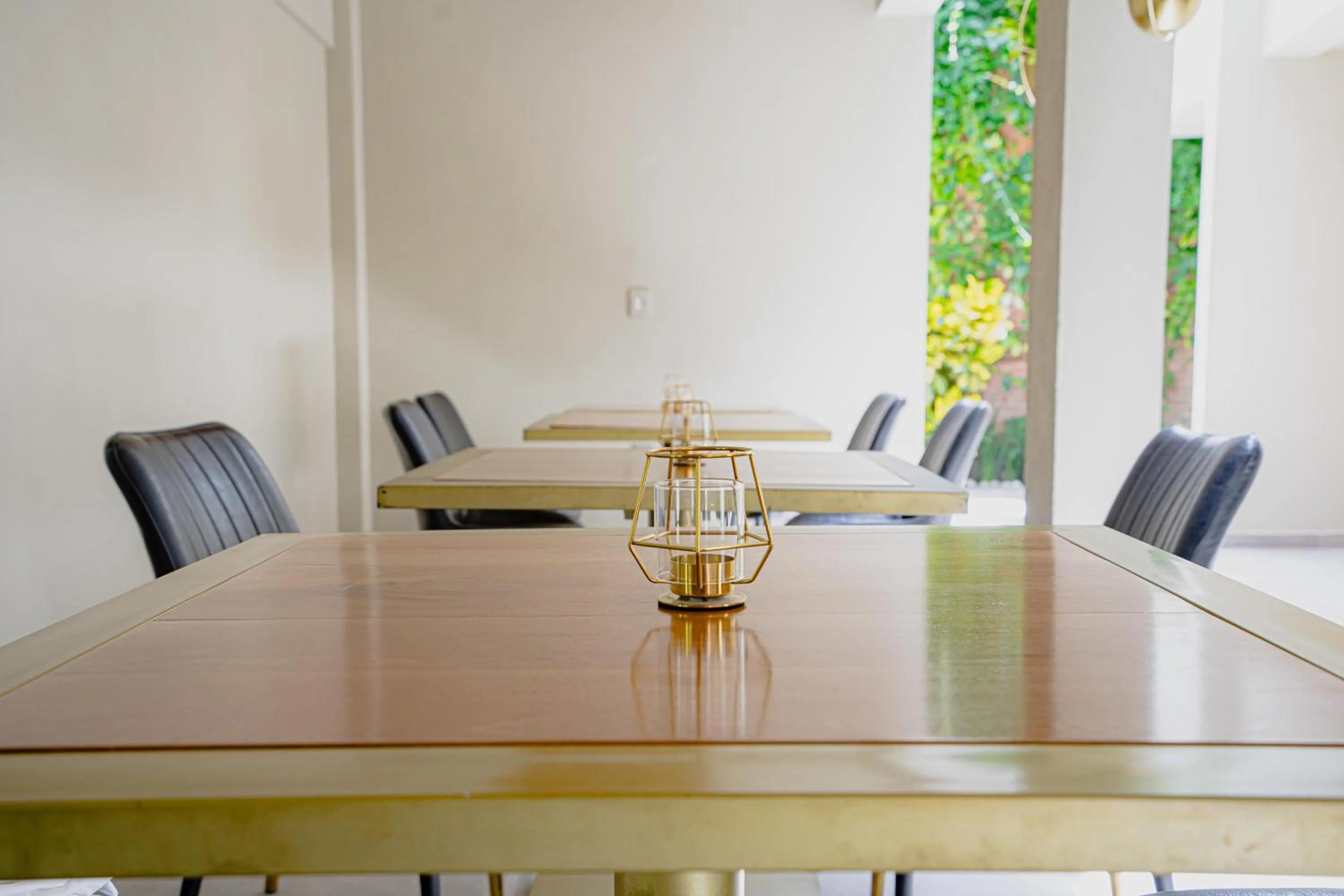 Garden view in Hotel Garcia Peral