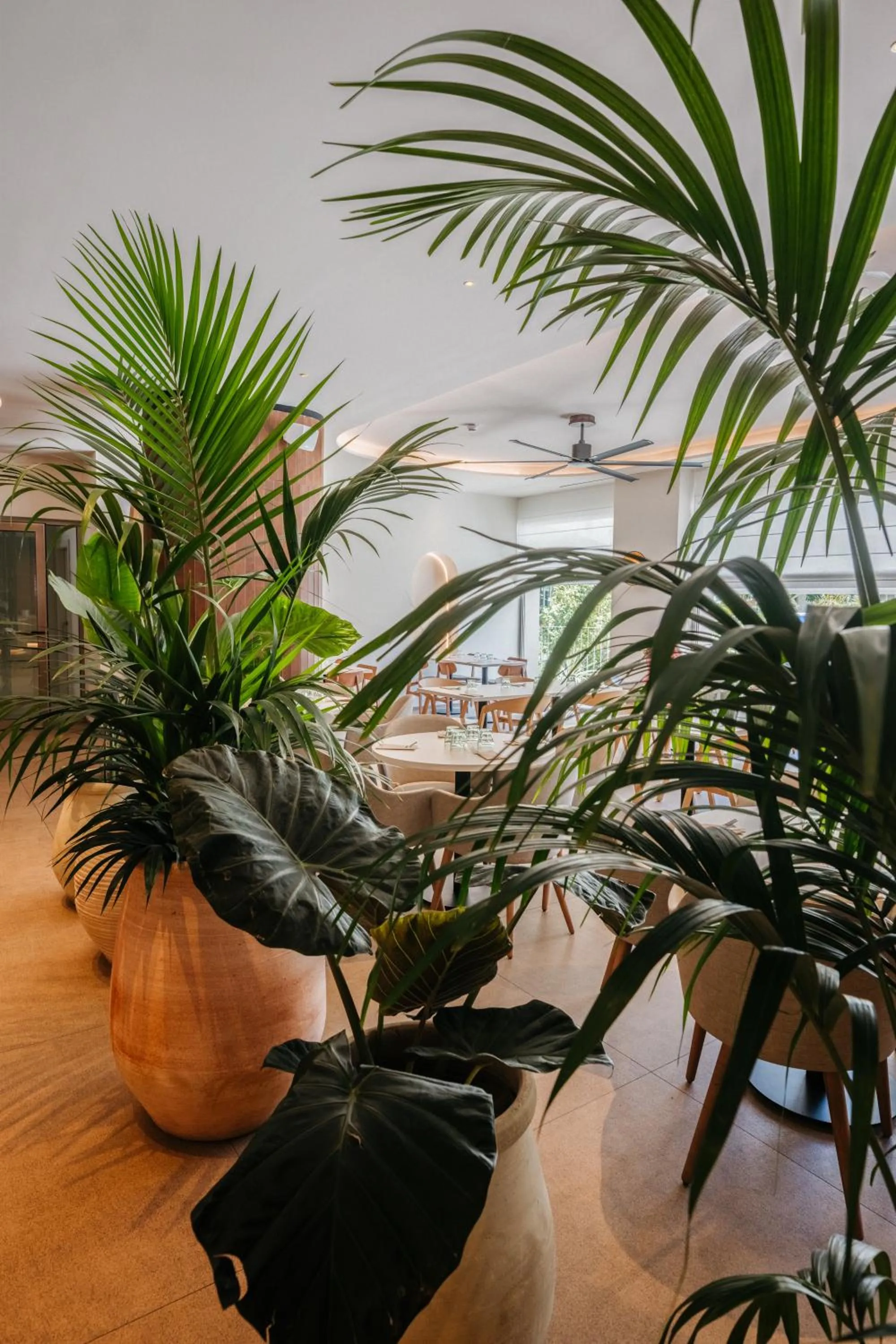 Restaurant/places to eat in Hotel Jaime I