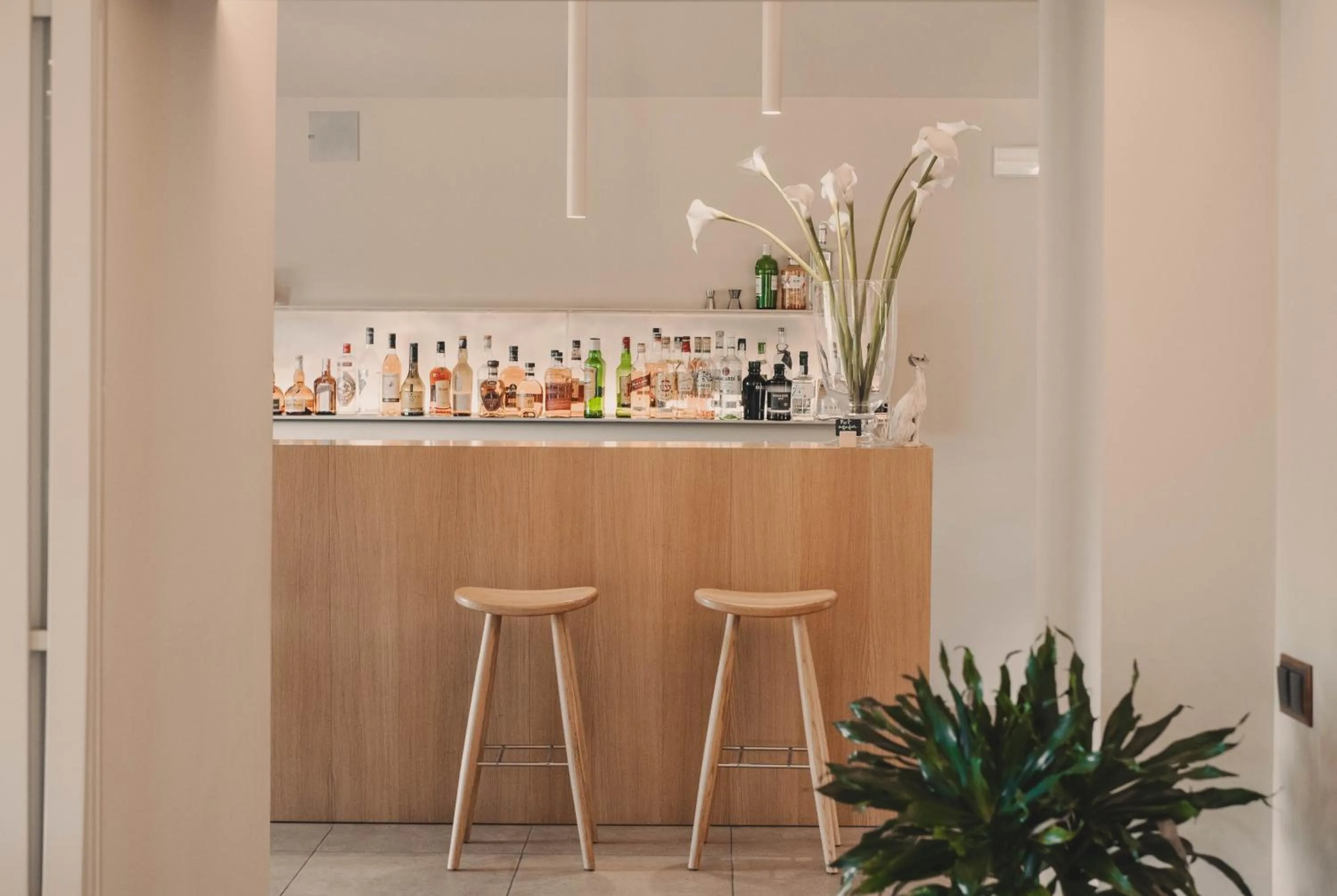 Lounge or bar in Hotel Vall de Bas