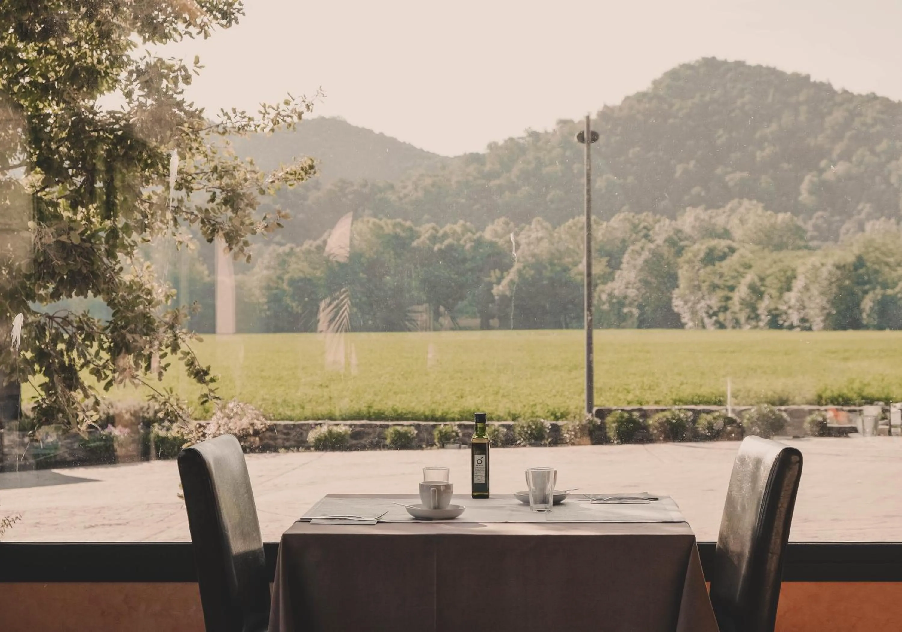 Spring in Hotel Vall de Bas