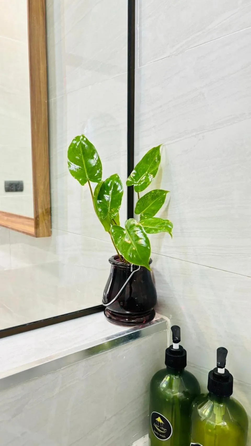 Bathroom in Canal Village Pakpra Phatthalung