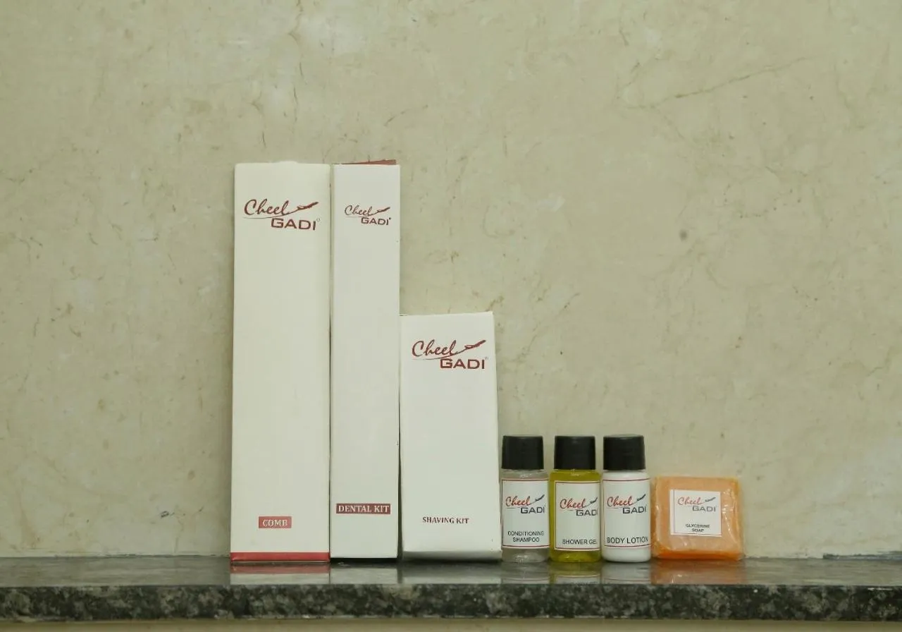 Bathroom in Hotel Cheelgadi