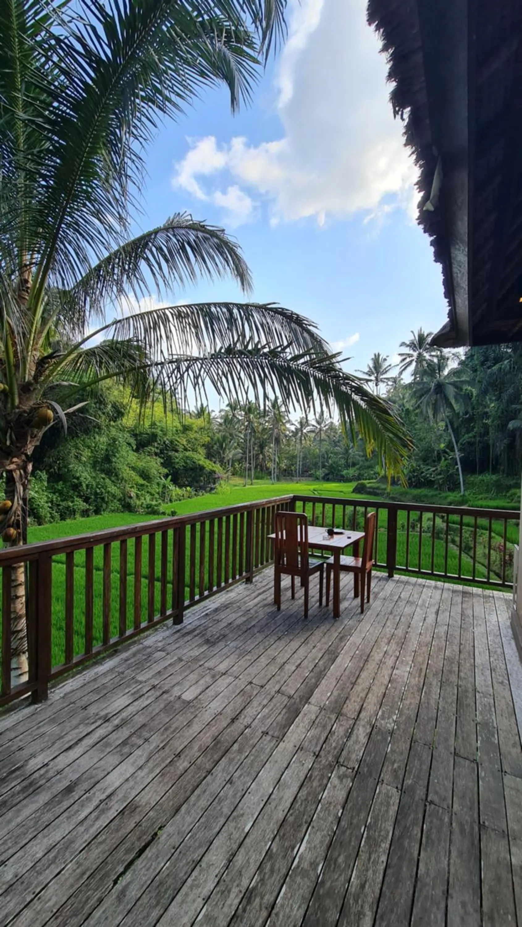 One-Bedroom Villa in Tirta Sari