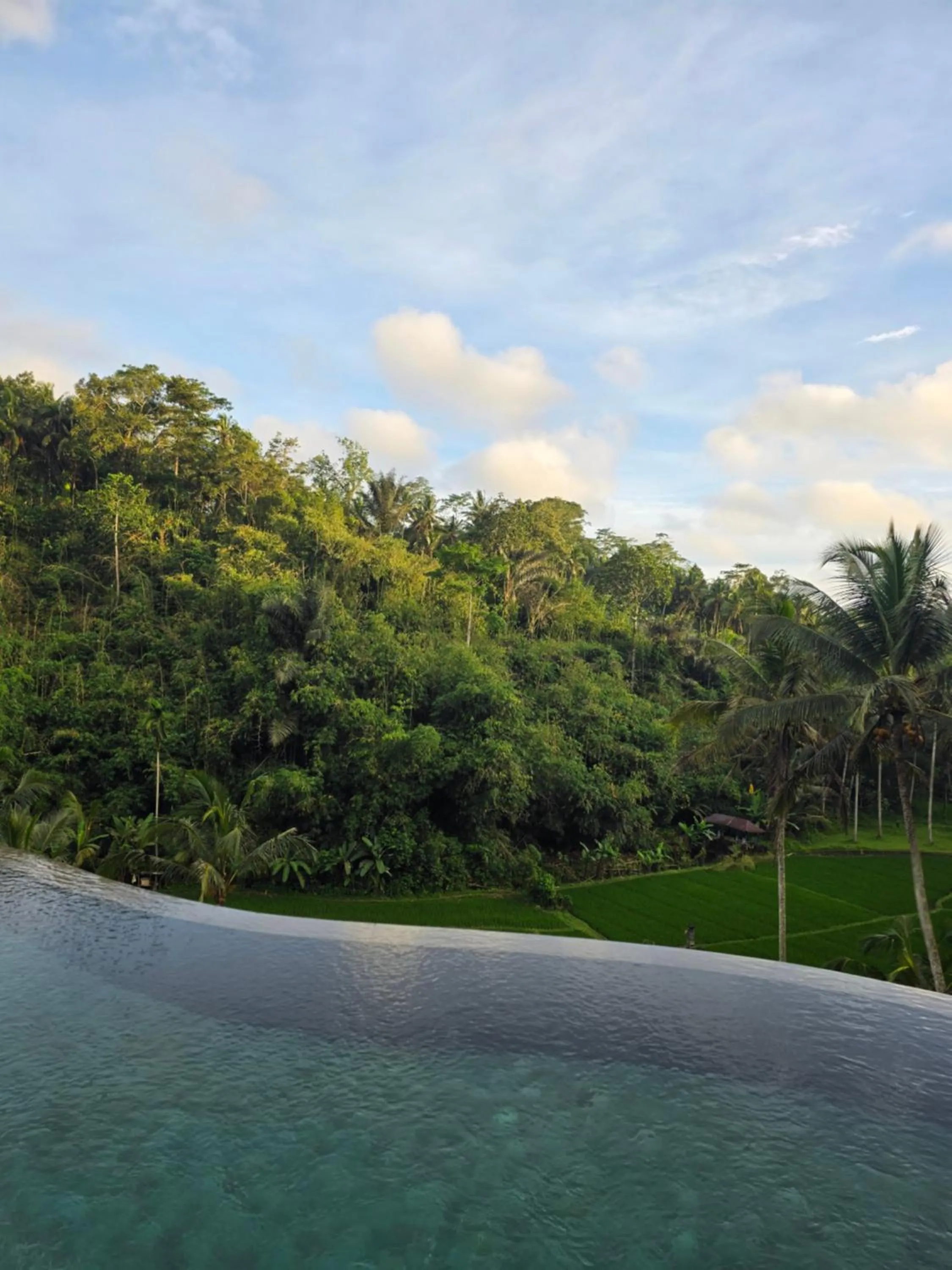 Swimming pool in The Tirta Sari Villas