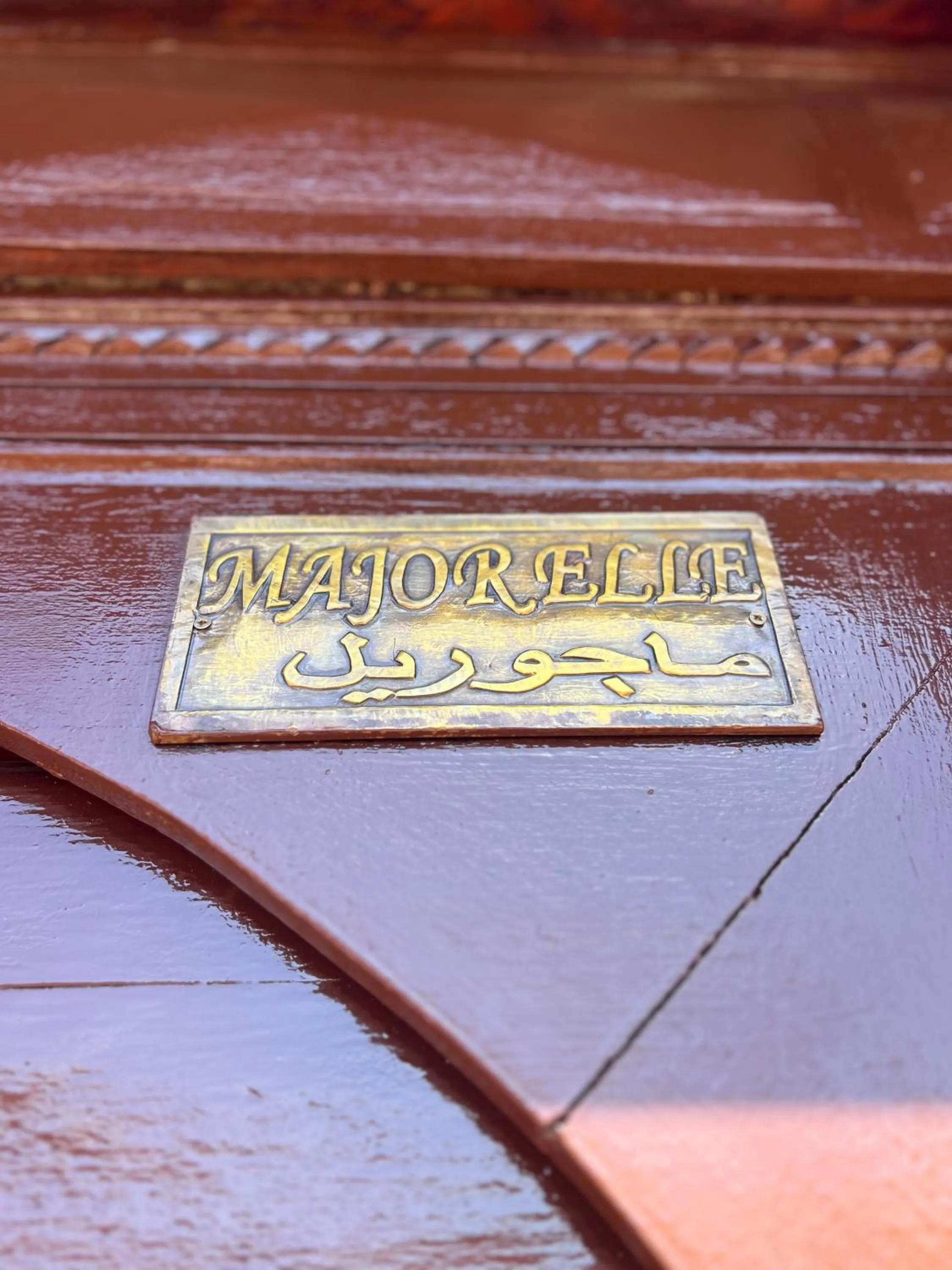 Logo/Certificate/Sign in Riad Sassa Finda