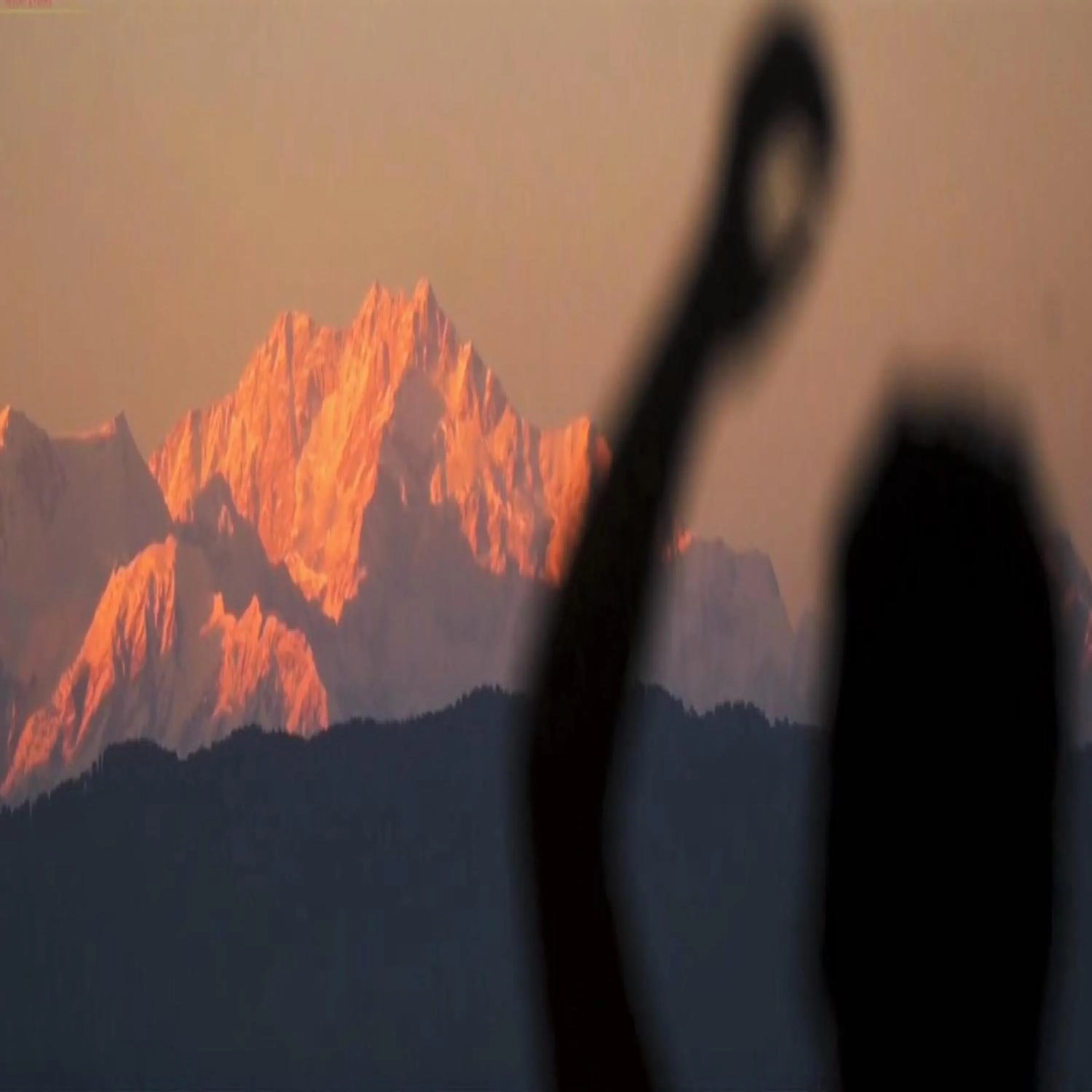 Mountain view in Amaira Resort & Farms - Mirik, West Bengal