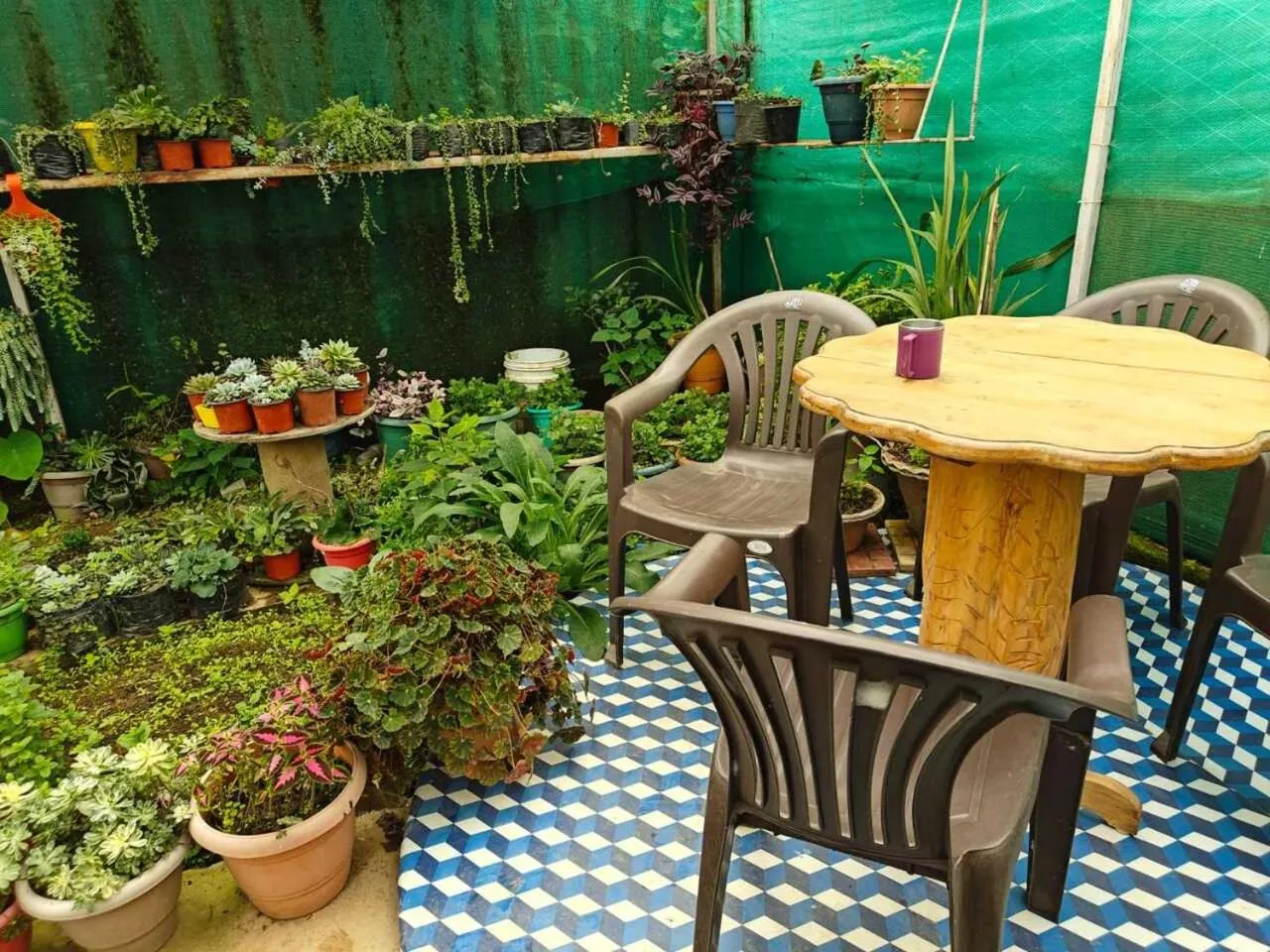 Garden in Amaira Resort & Farms - Mirik, West Bengal