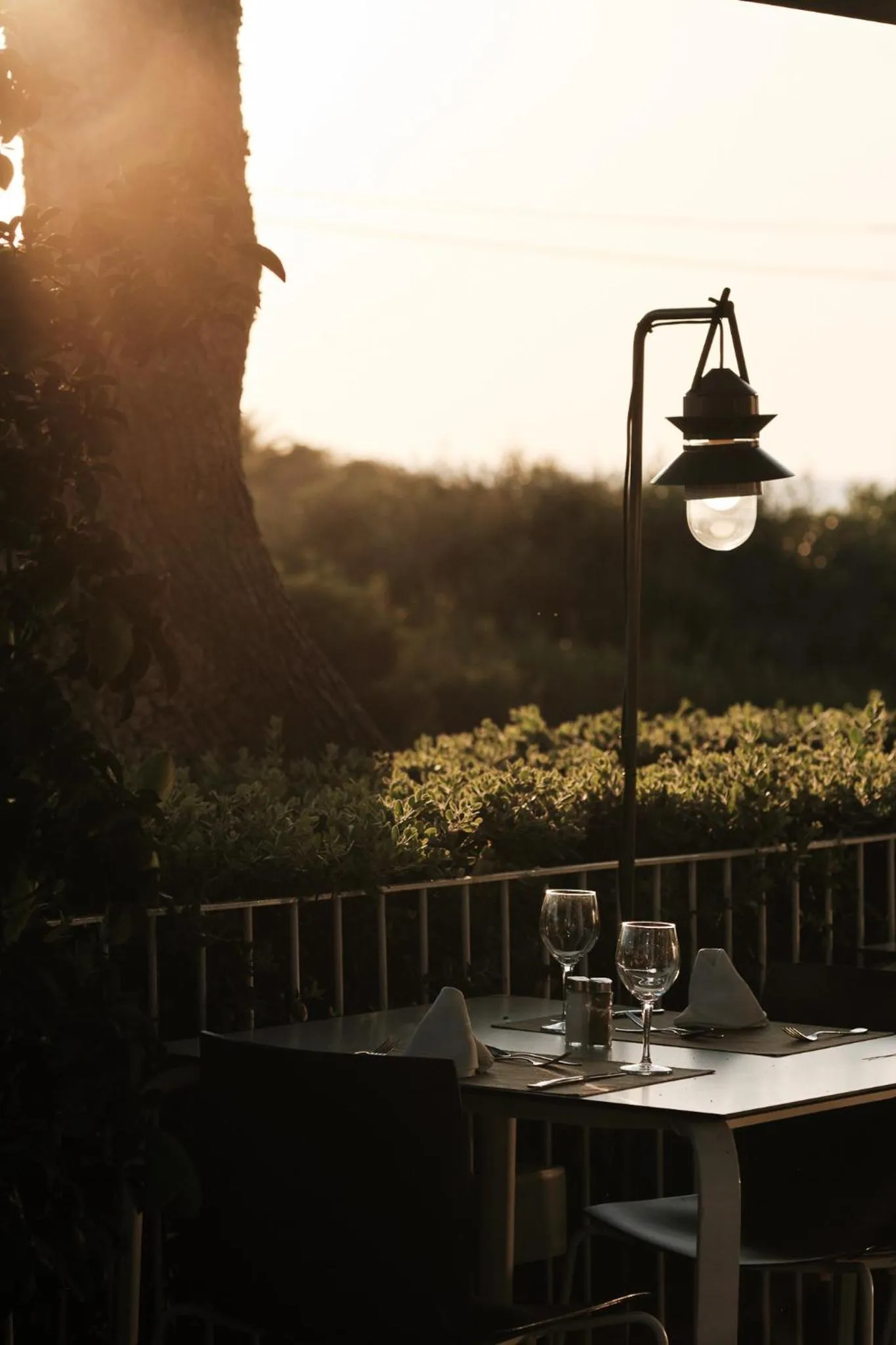 Restaurant/places to eat in Prinsotel La Caleta