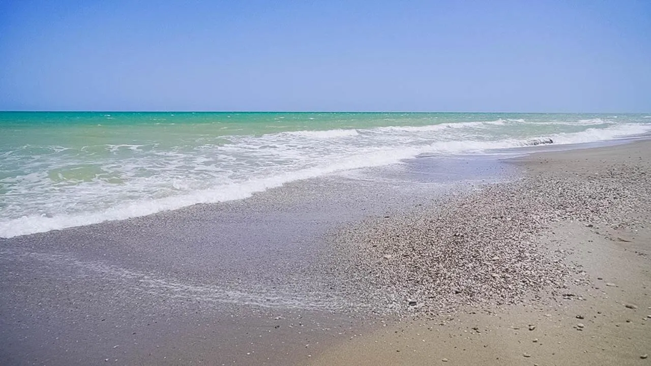 Beach in Hotel Mexico
