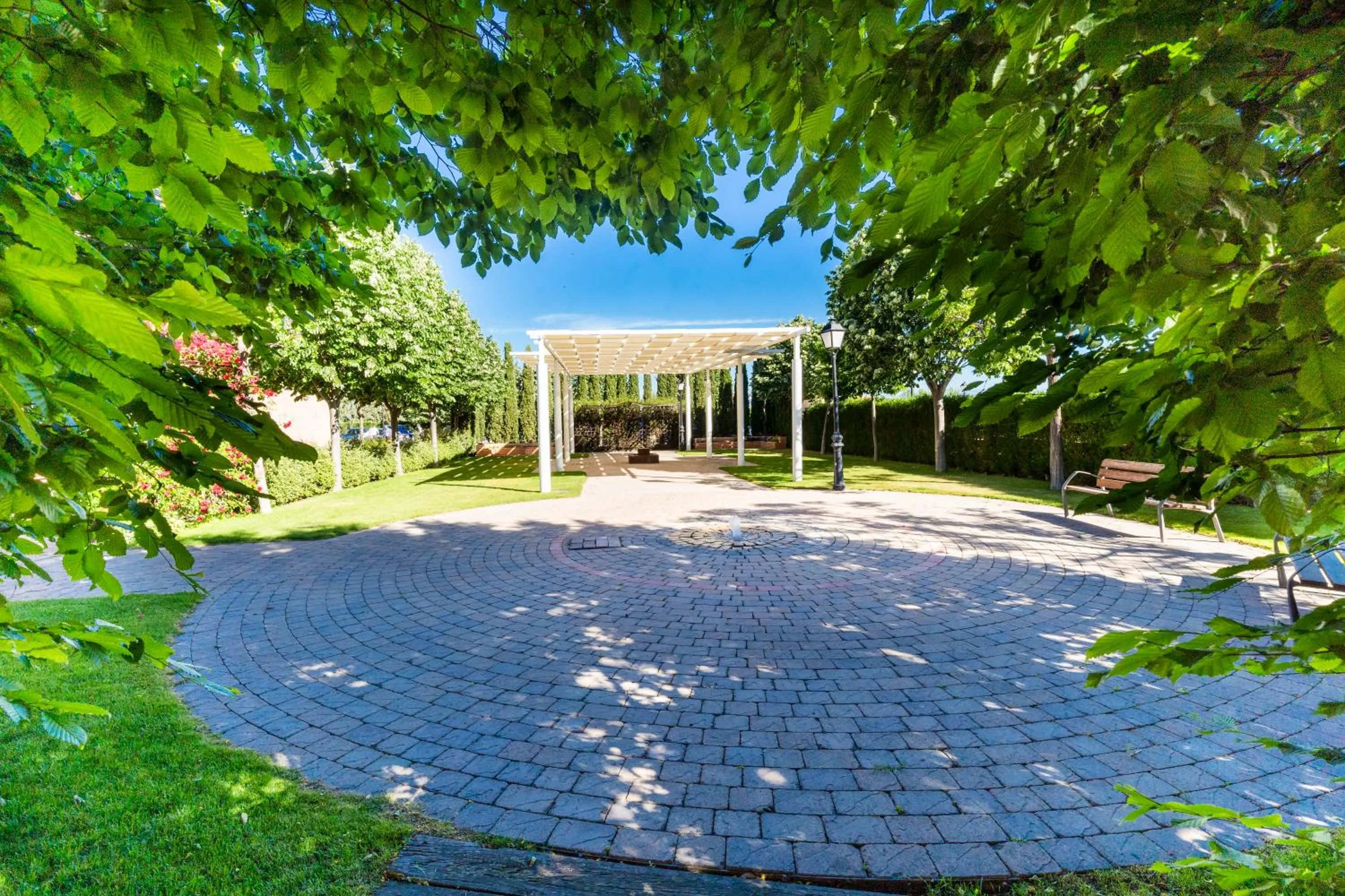 Garden in Hotel Comendador