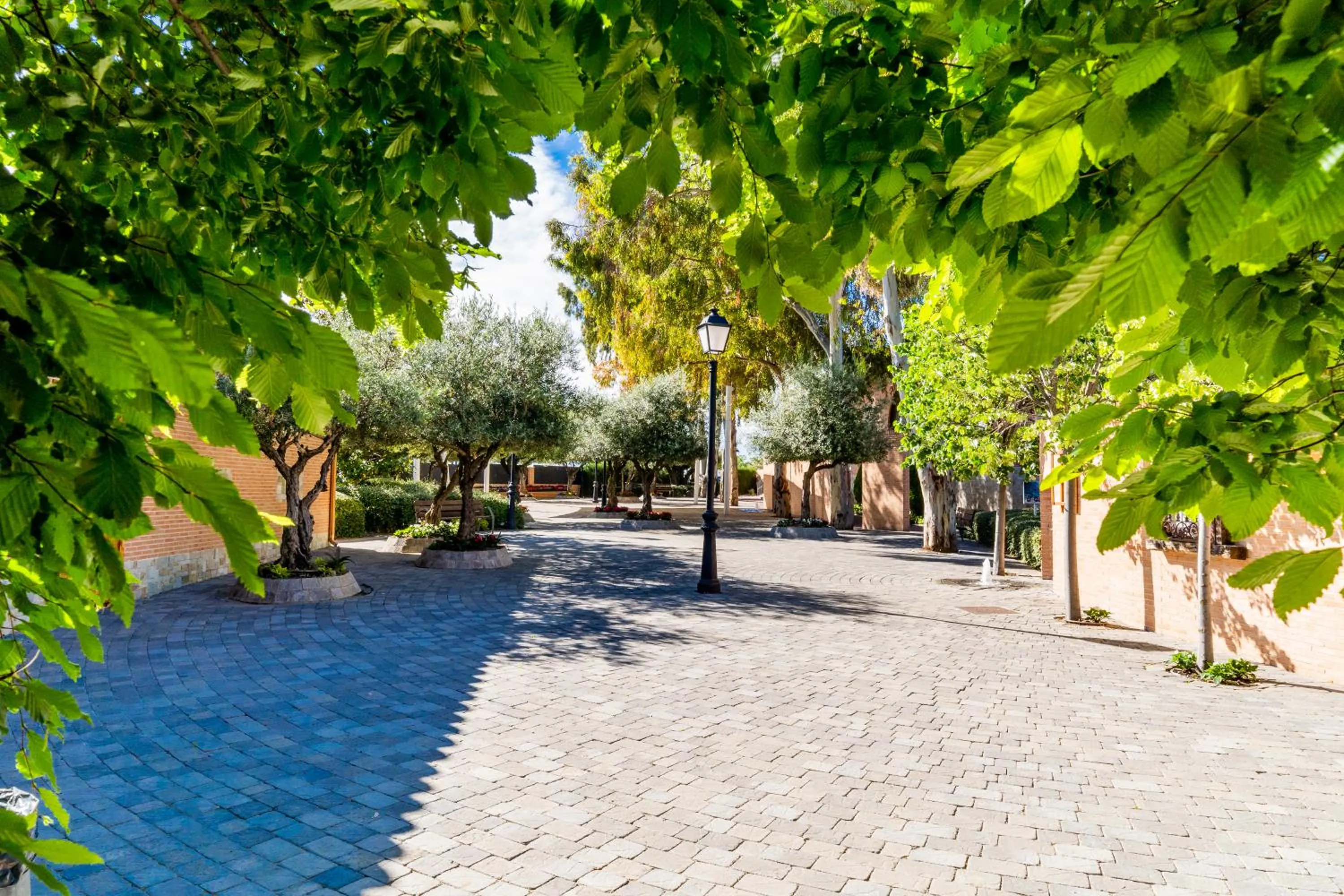 Garden in Hotel Comendador