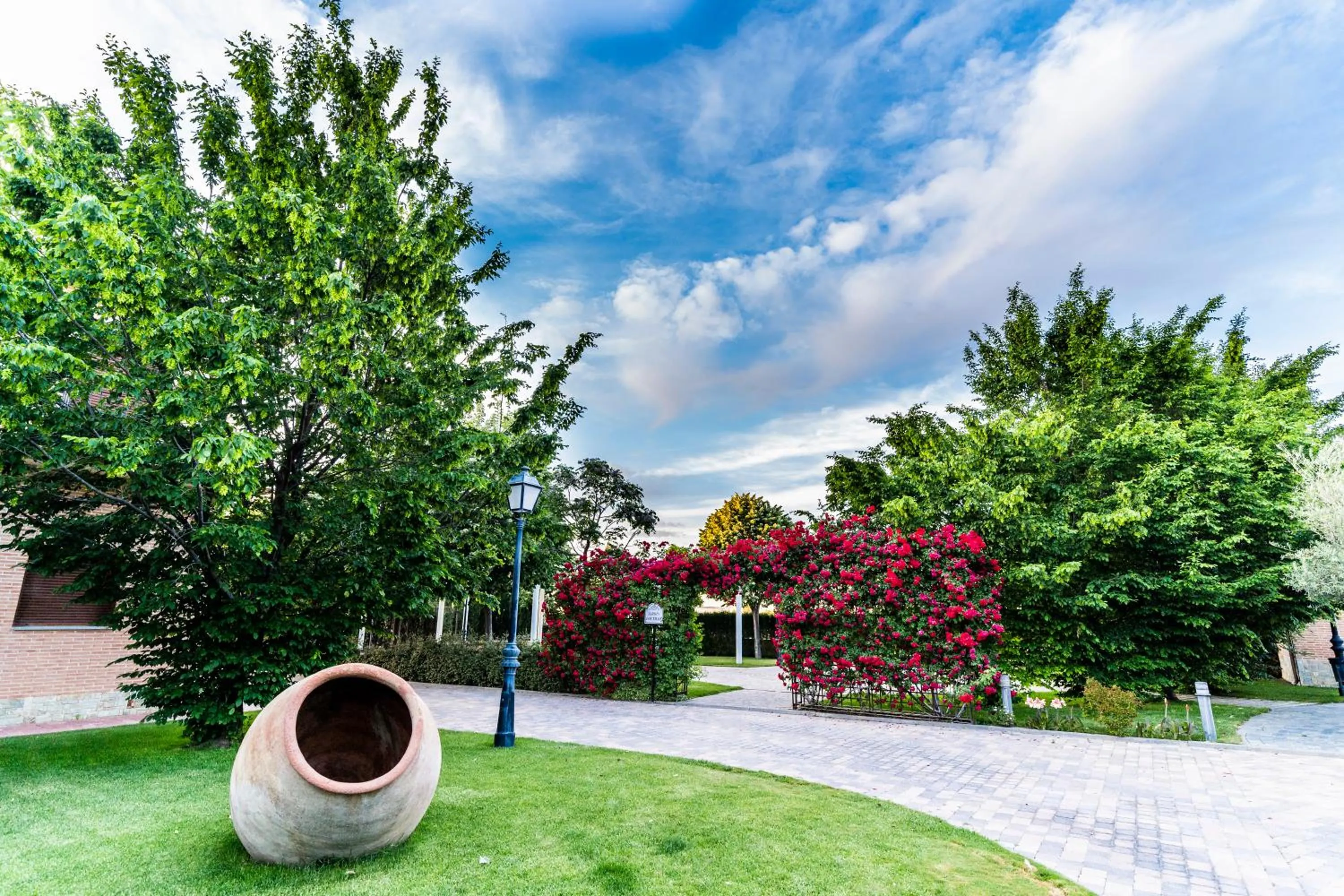 Garden in Hotel Comendador