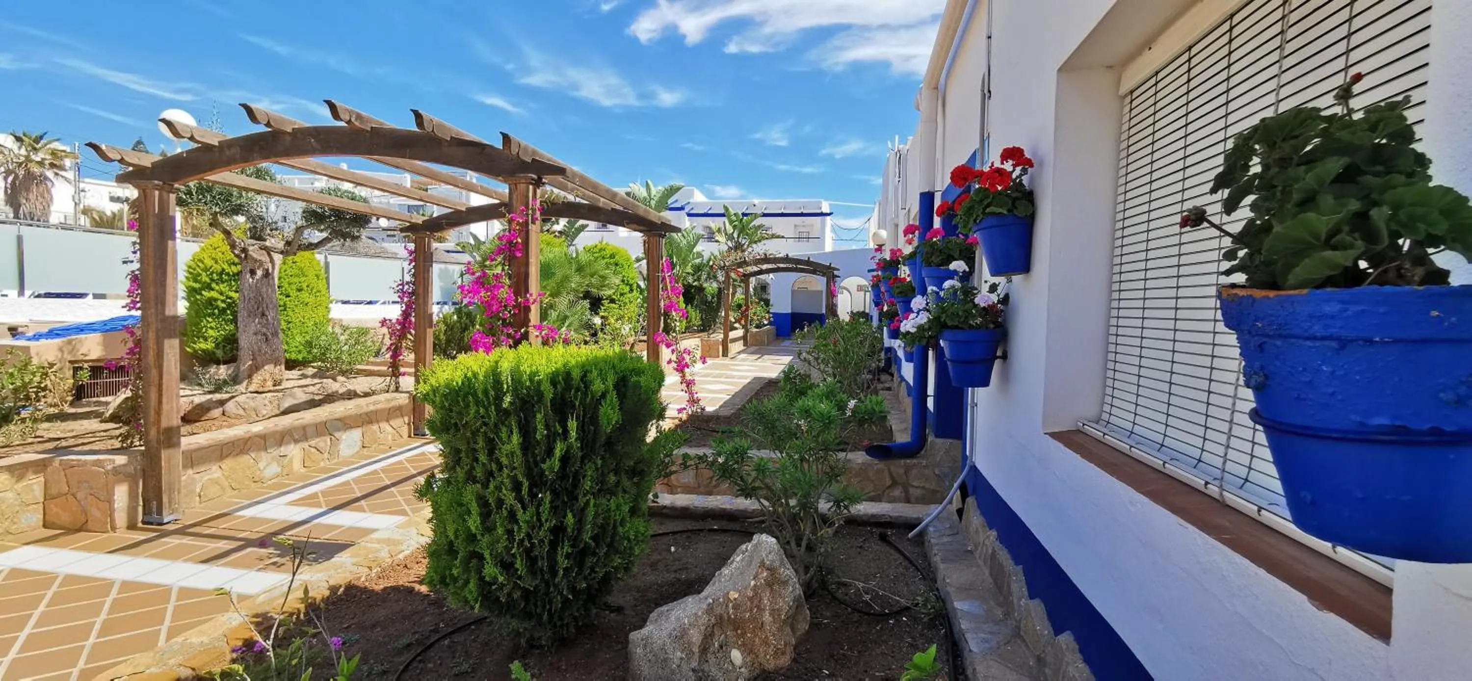 Garden view in Hotel El Puntazo I
