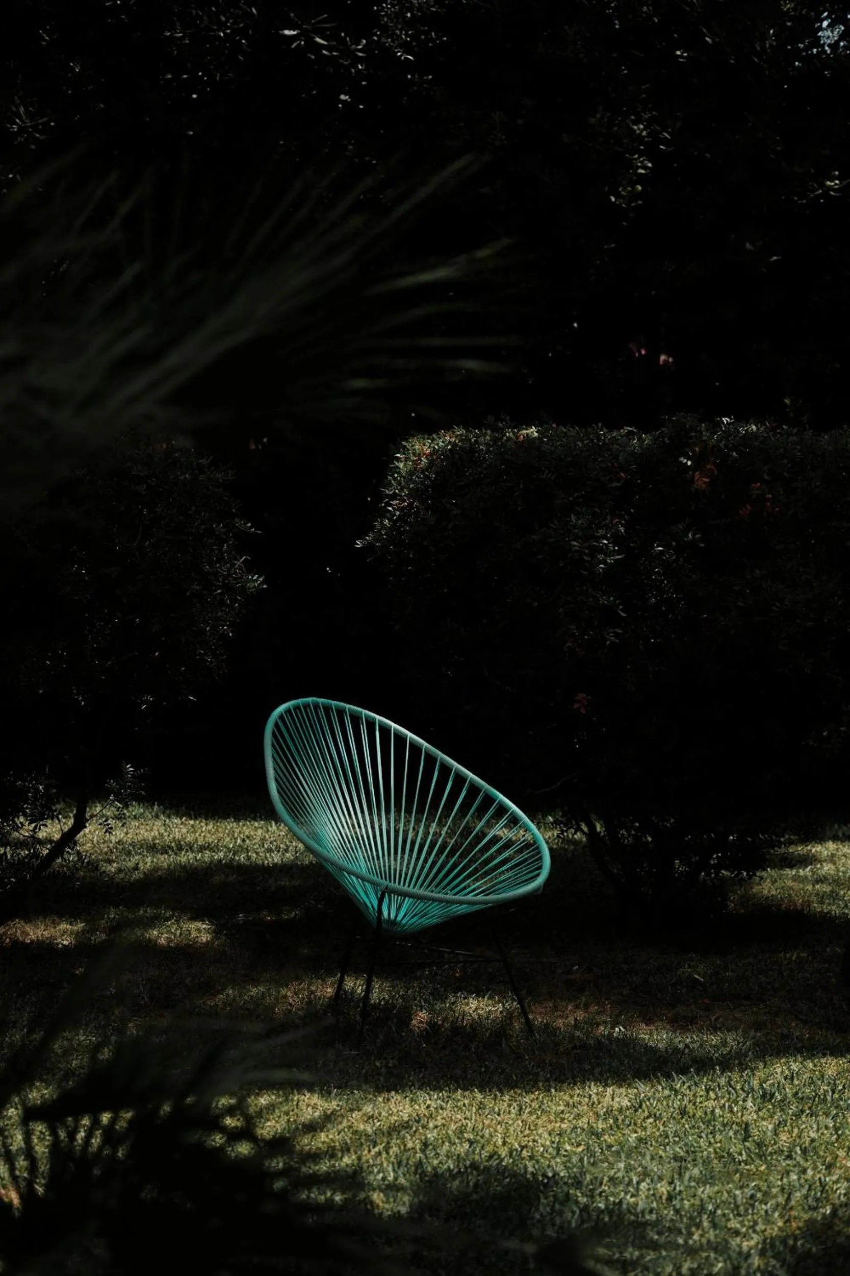 Garden in Prinsotel Alba & Spa