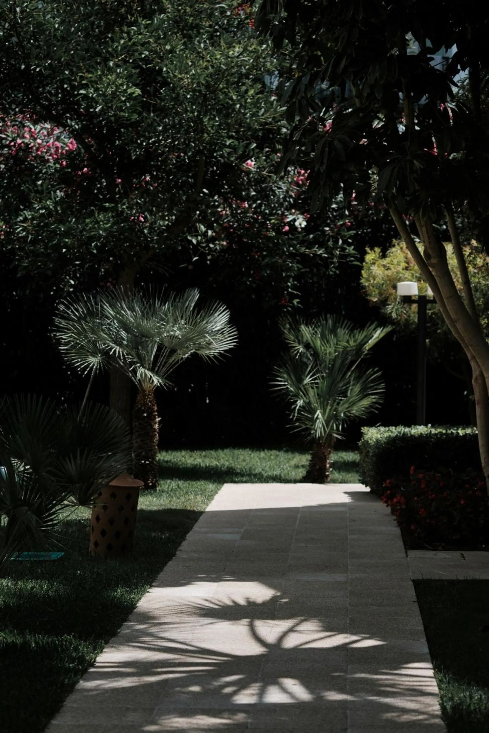 Garden in Prinsotel Alba & Spa