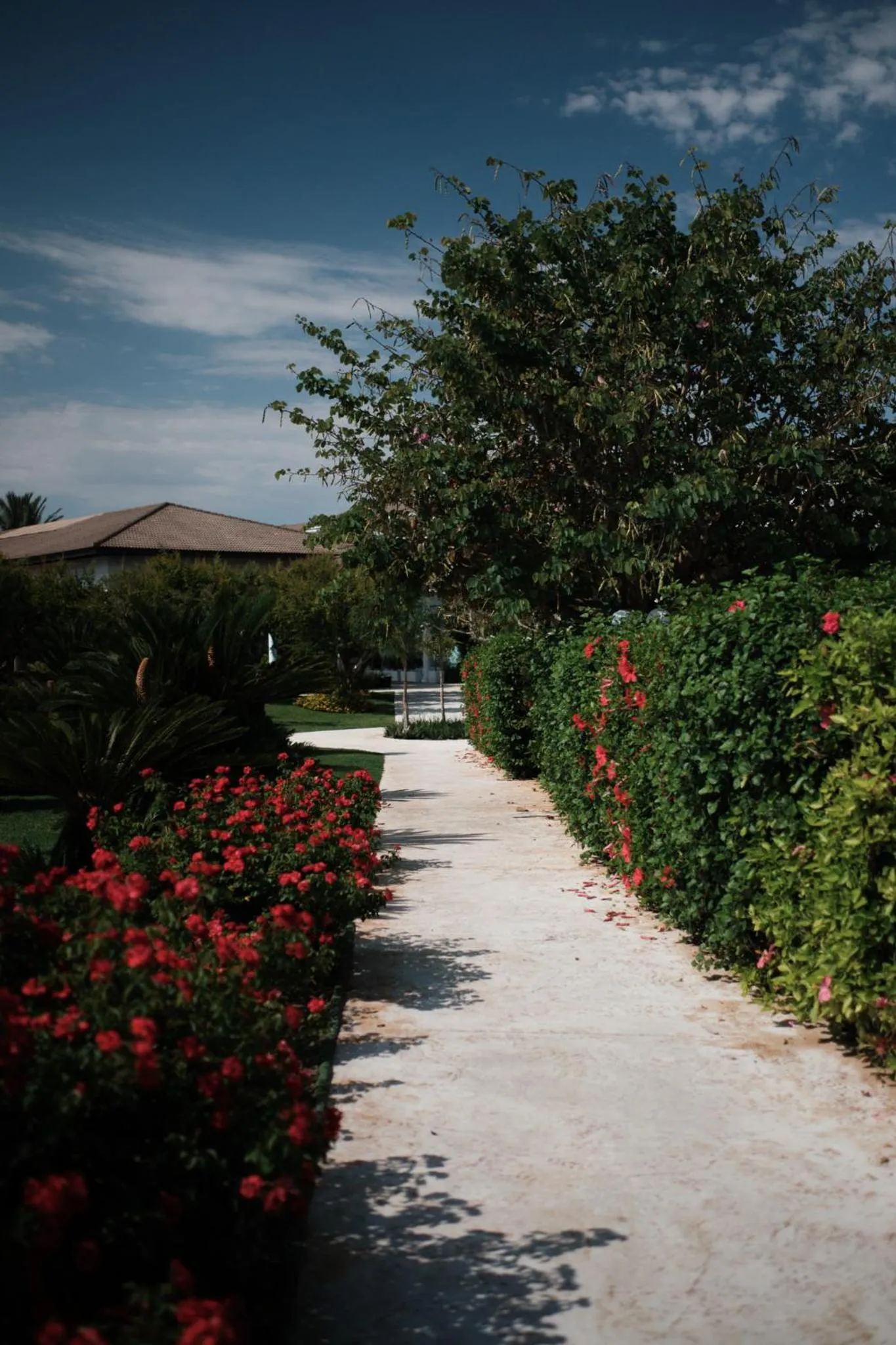 Spring in Prinsotel La Dorada & Spa