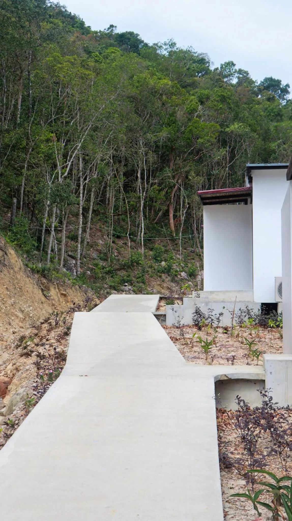 Natural landscape in ISLAND CENTER POINT