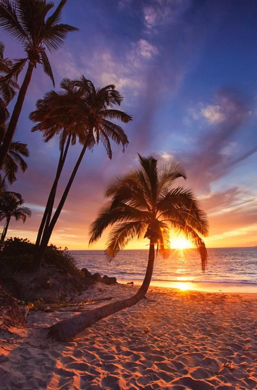 Palm Bay Resort Phu Quoc