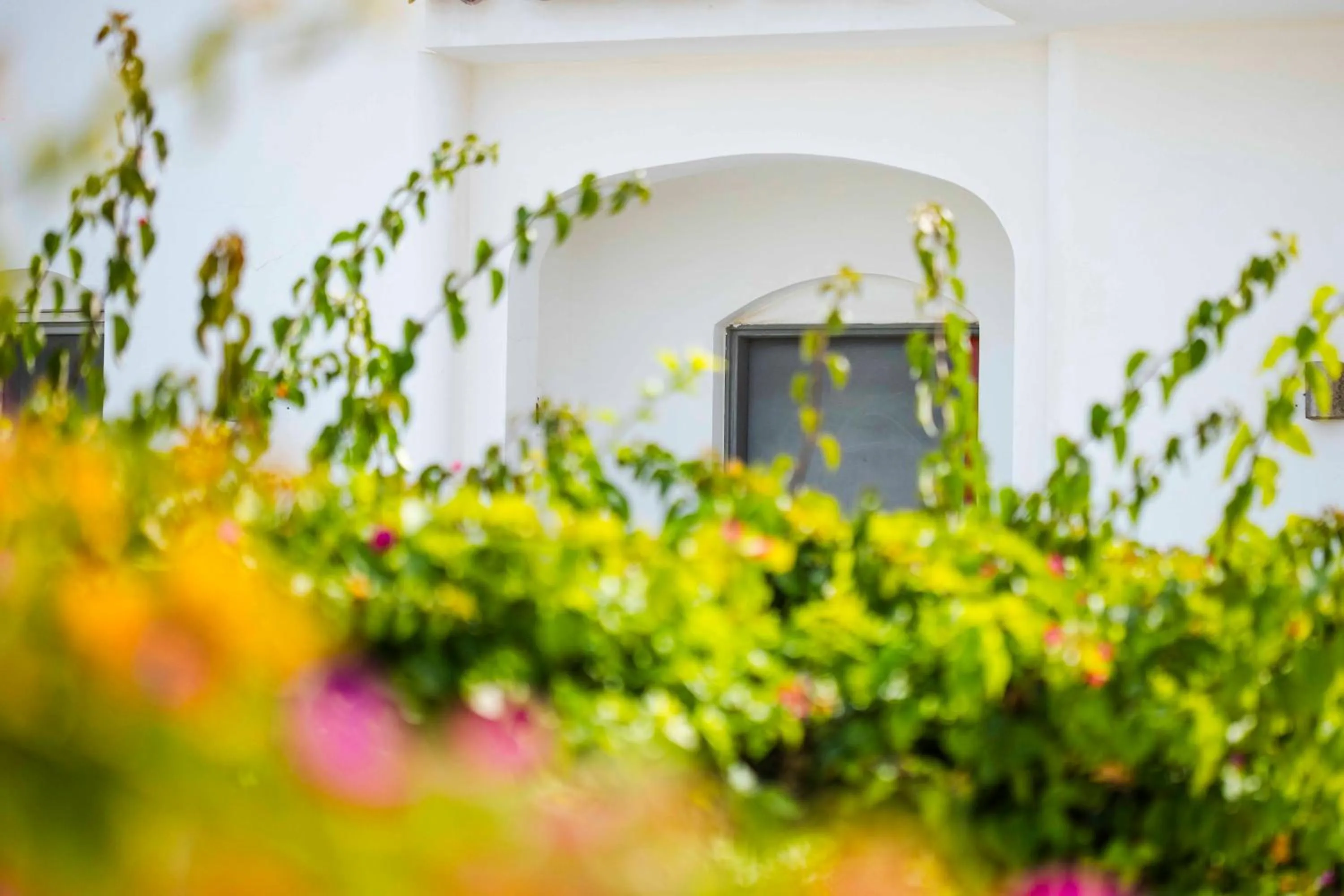 El Gouna Elite Worldwide Sea & Garden Residences - Hurghada, Egypt