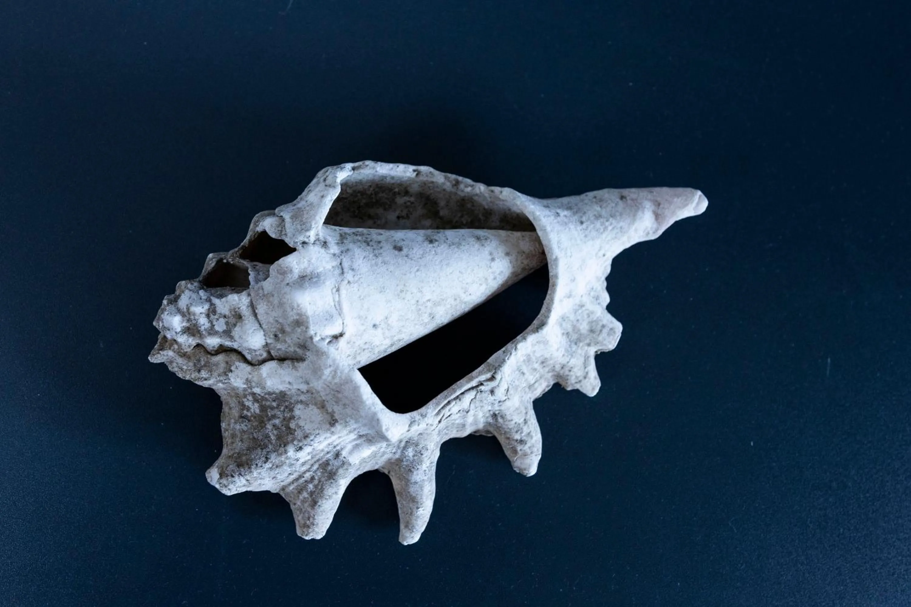 El Gouna Elite Worldwide Sea & Garden Residences - Hurghada, Egypt