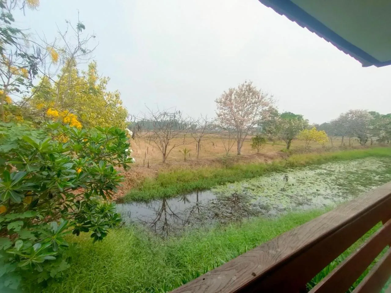 Spring in Chatchawan Resort