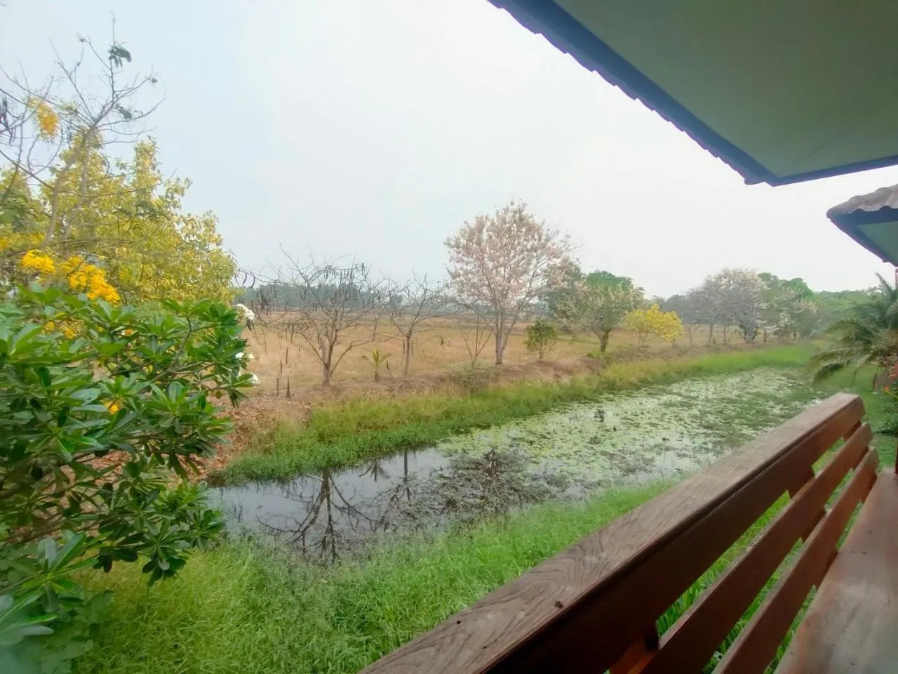 Spring in Chatchawan Resort