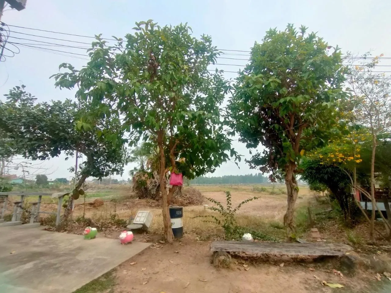 Spring in Chatchawan Resort