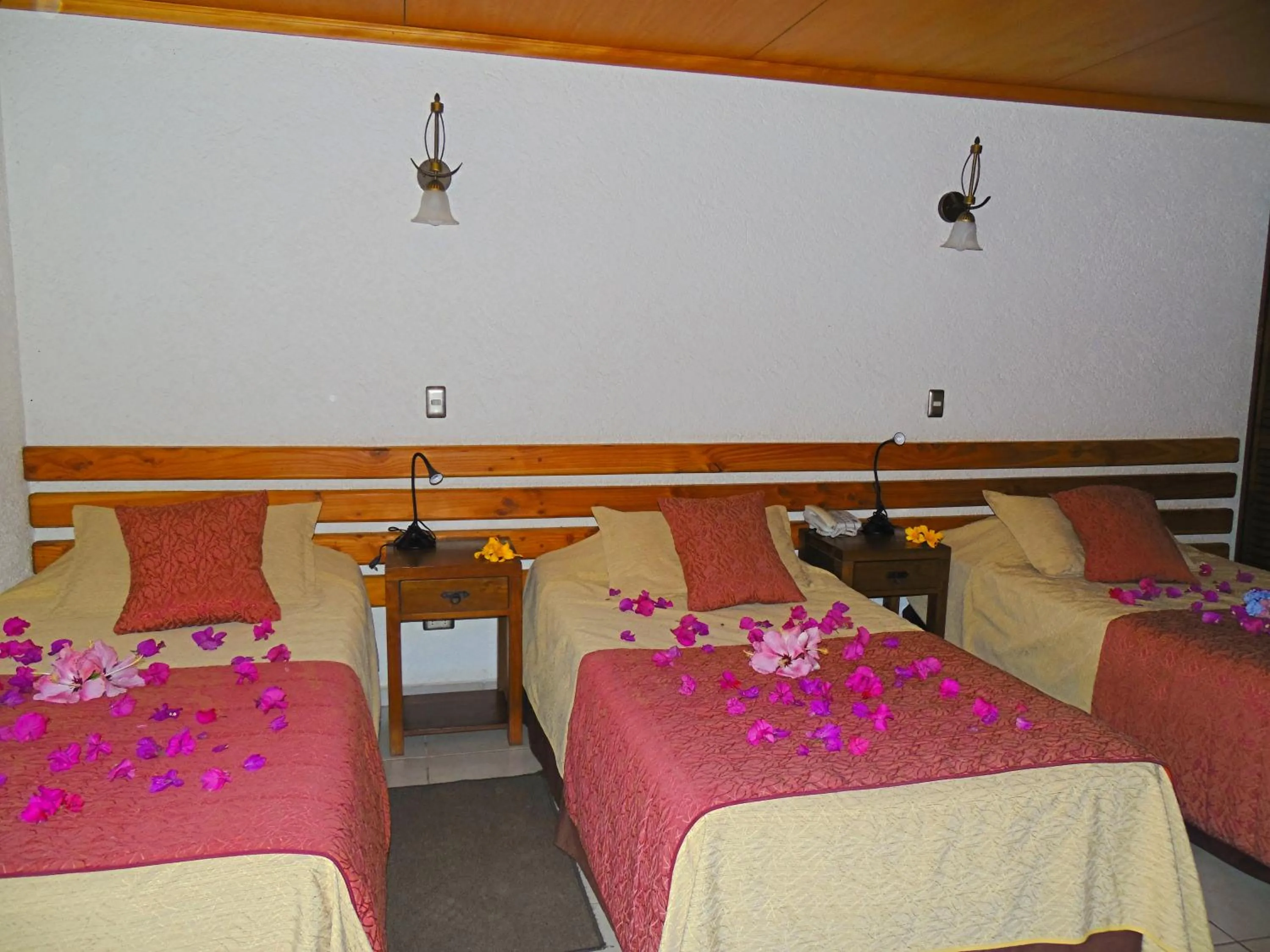 Bed in Hotel Puku Vai