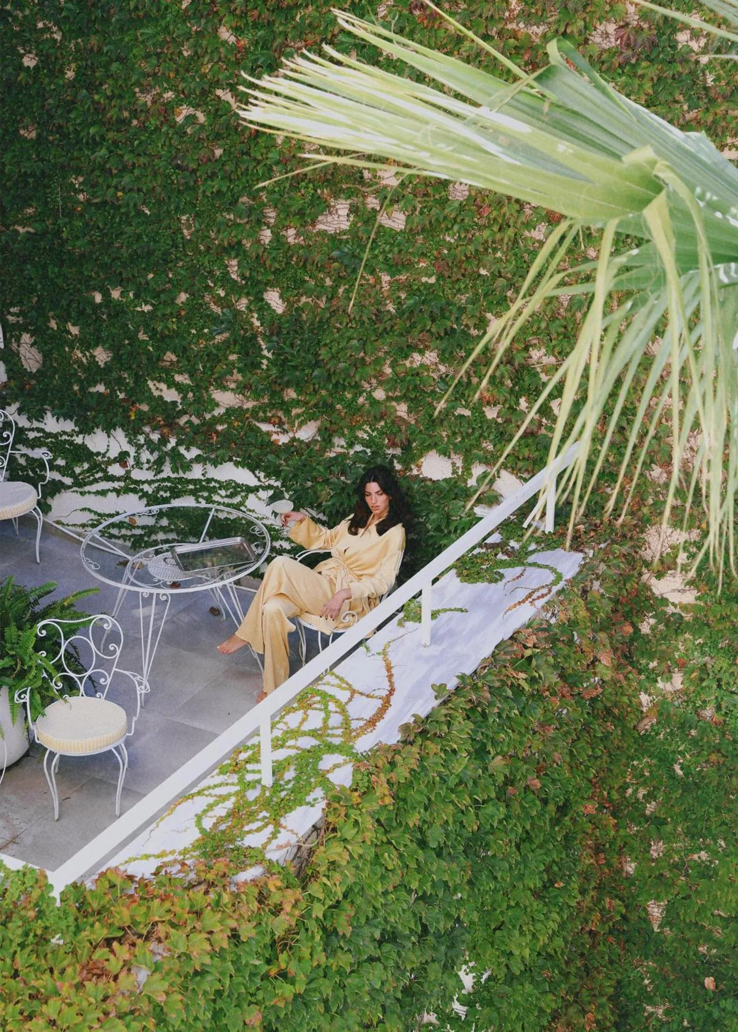 Garden in Apollo Palm Hotel