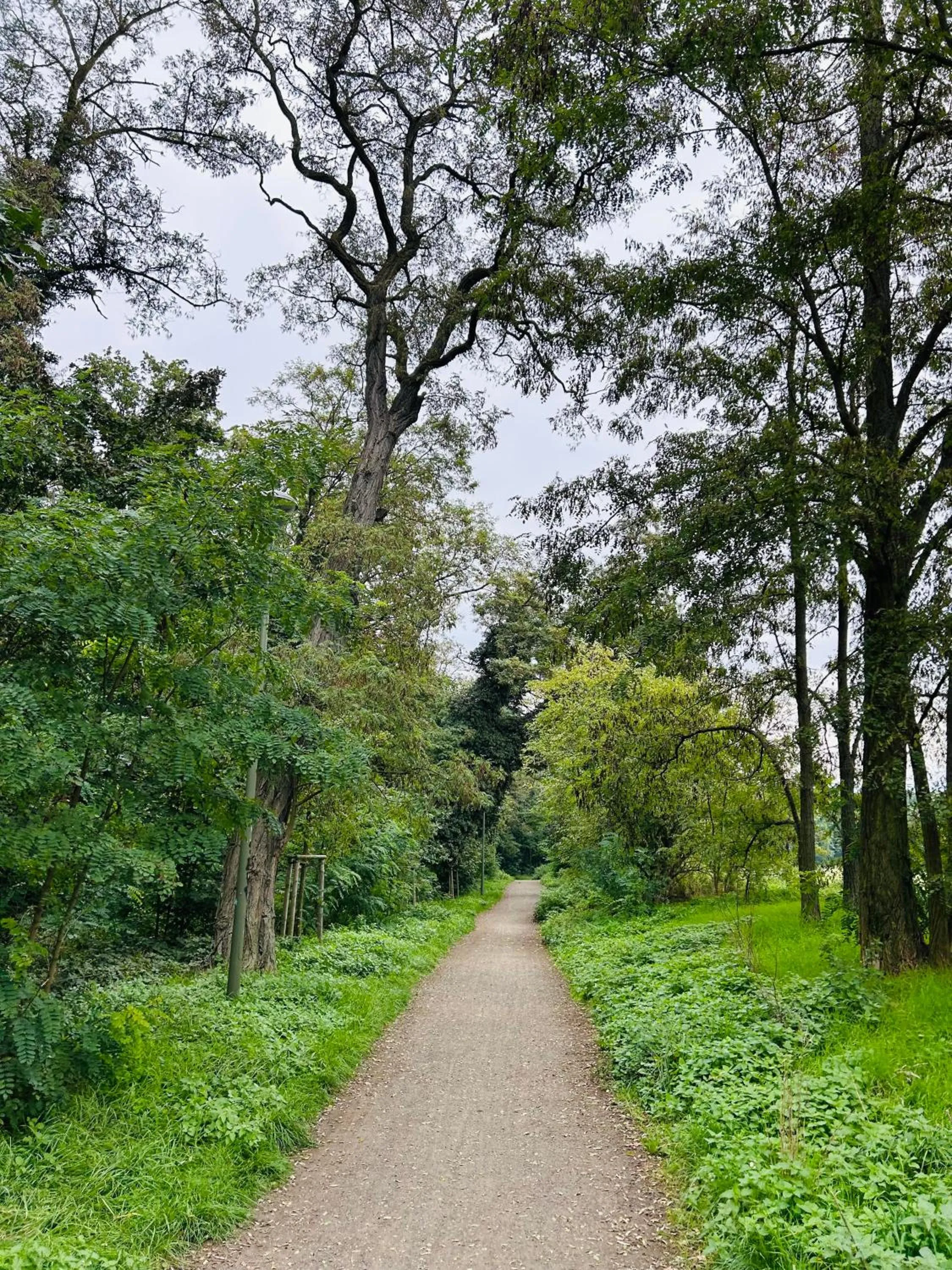 Nearby landmark in Aparthotel Na Klenici