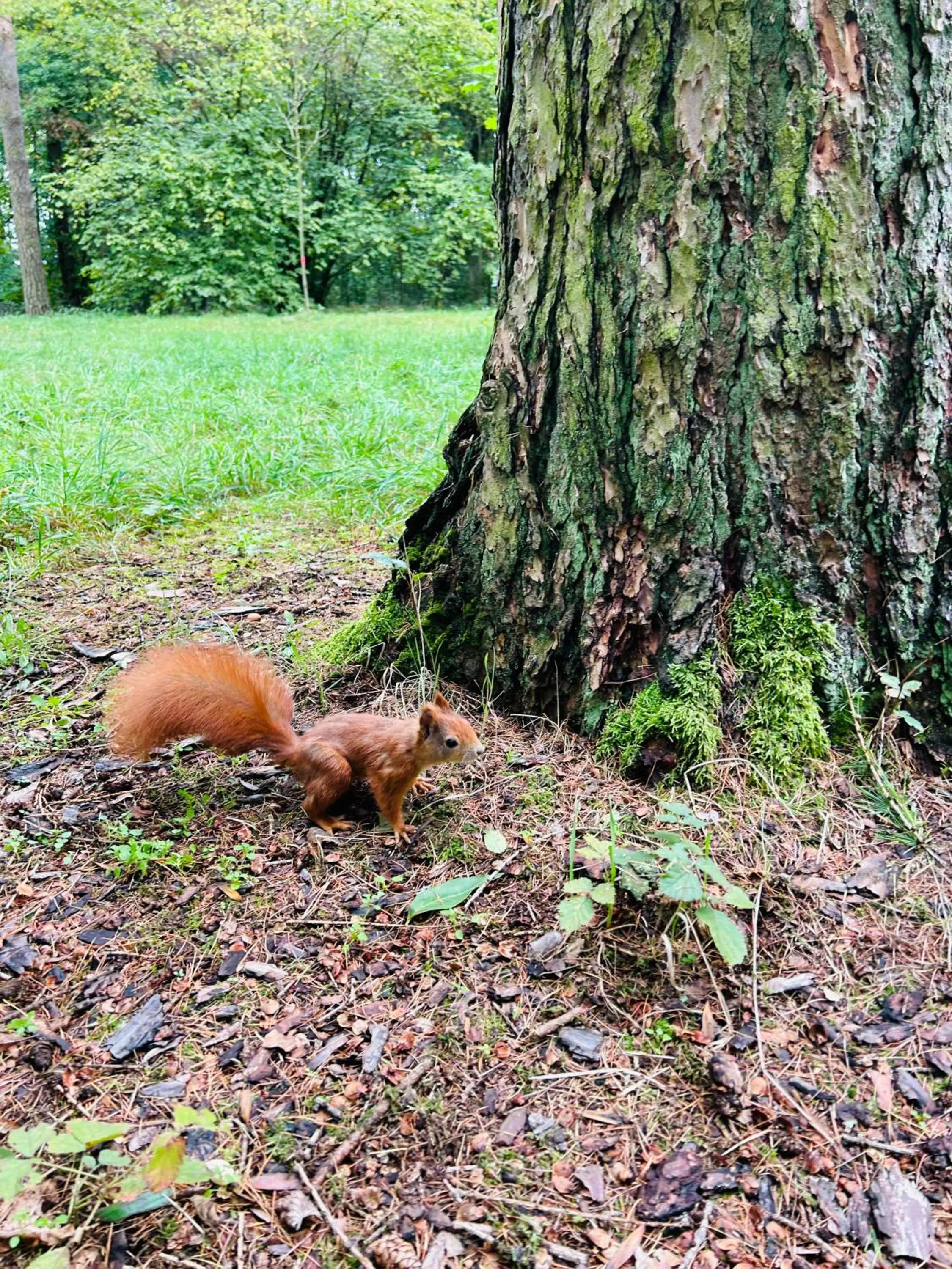 Nearby landmark in Aparthotel Na Klenici