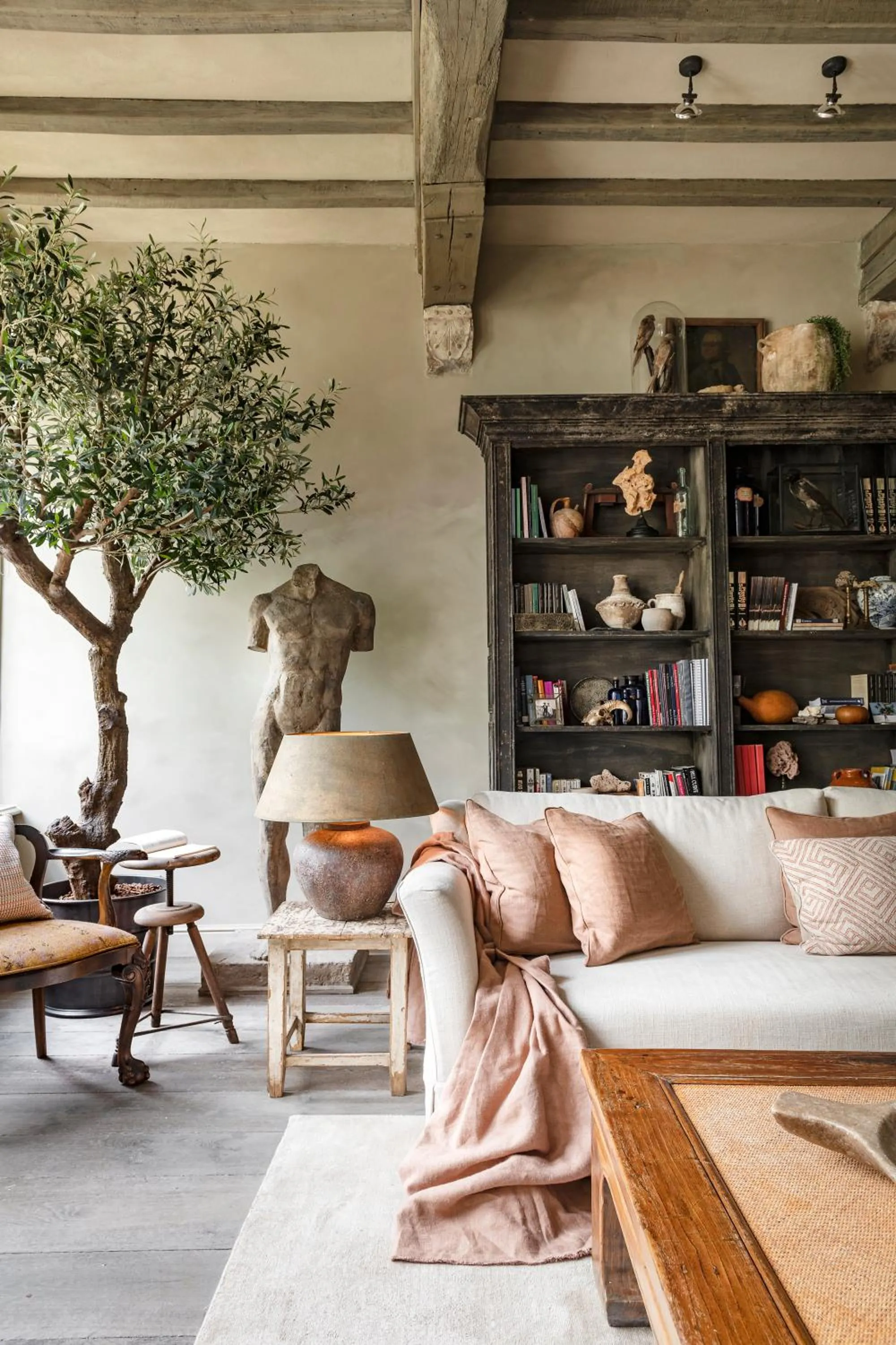 Library in The Notary