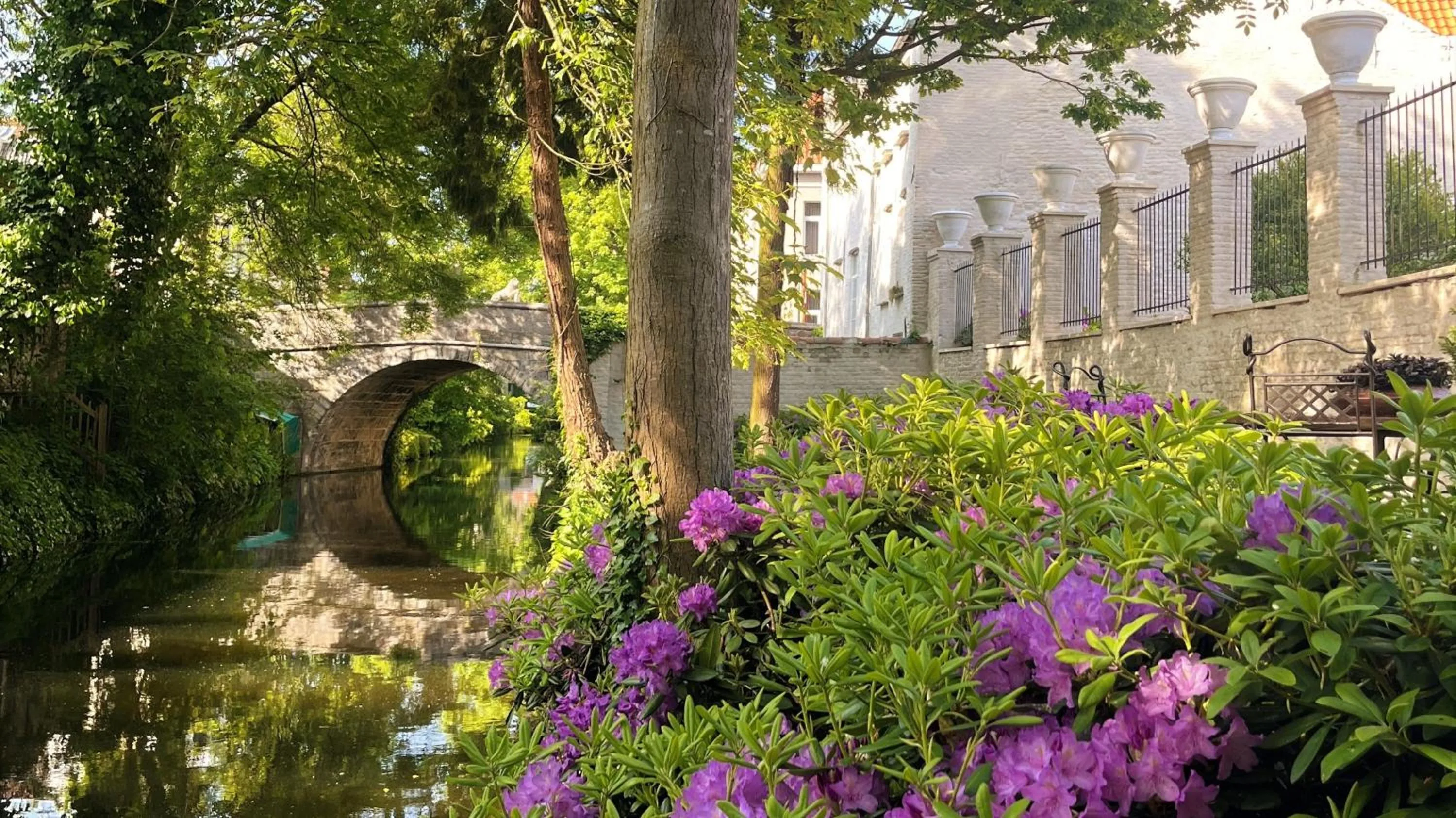 Garden in The Notary