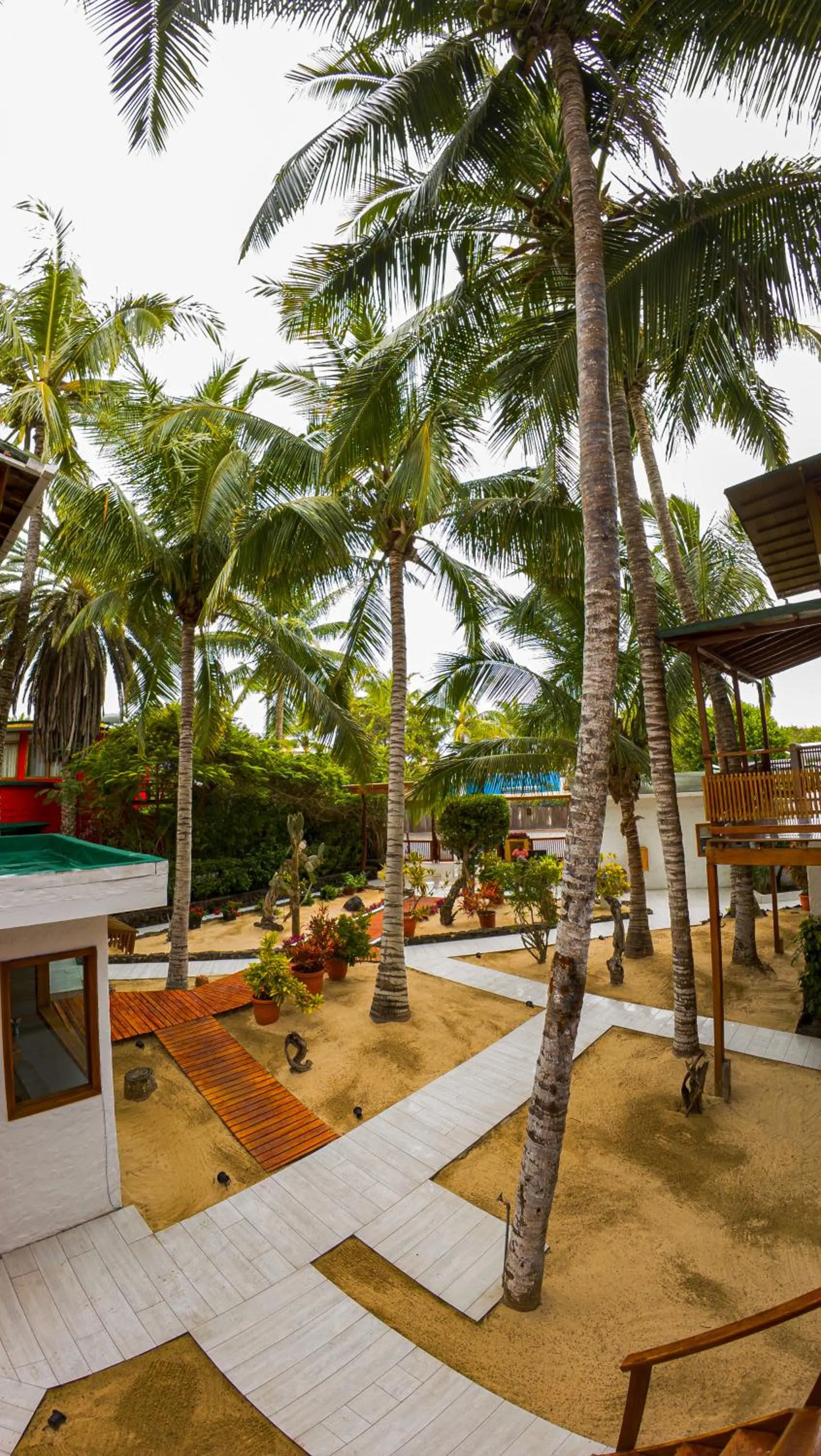 Garden in La Casa de Marita