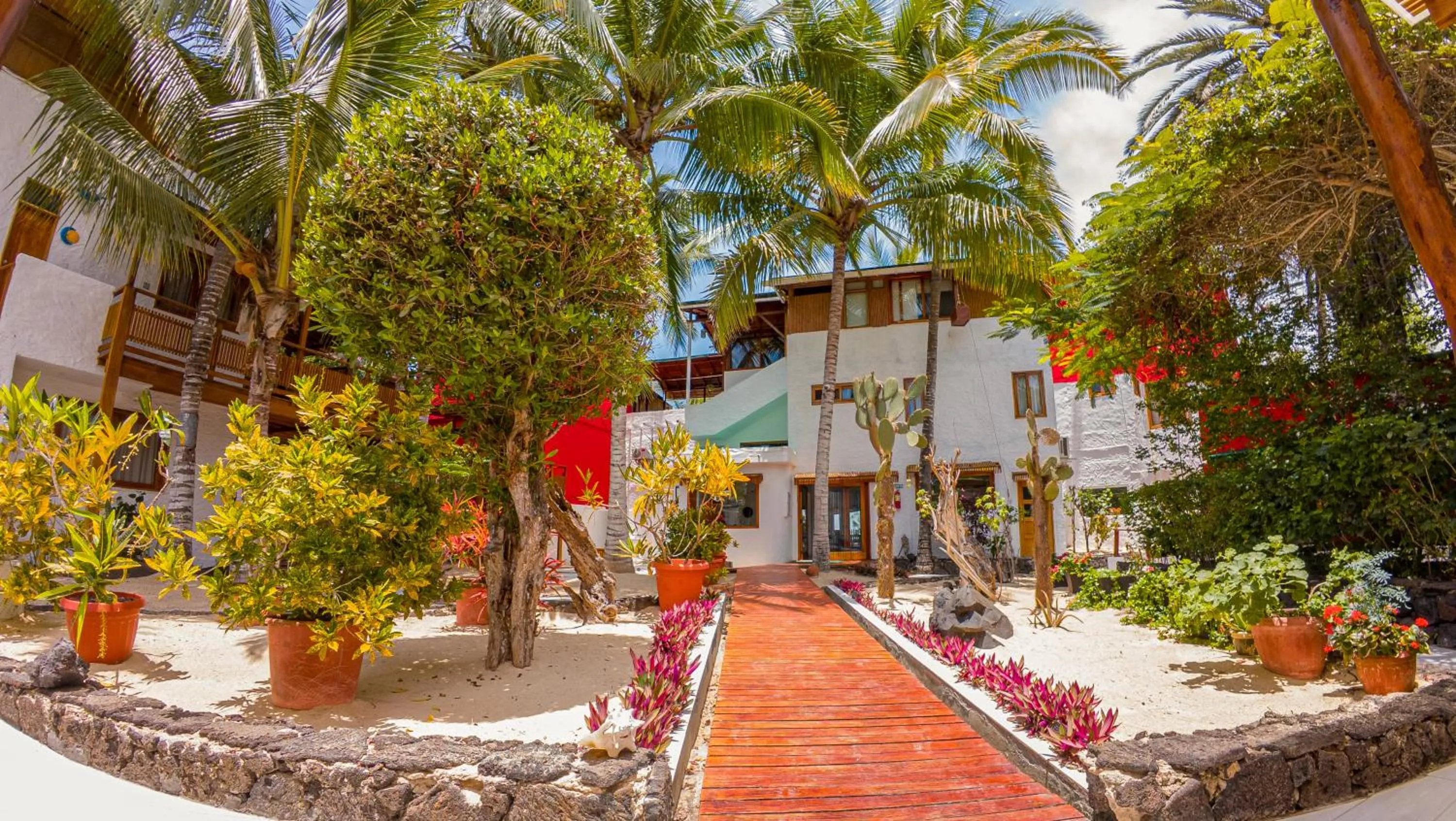 Garden in La Casa de Marita