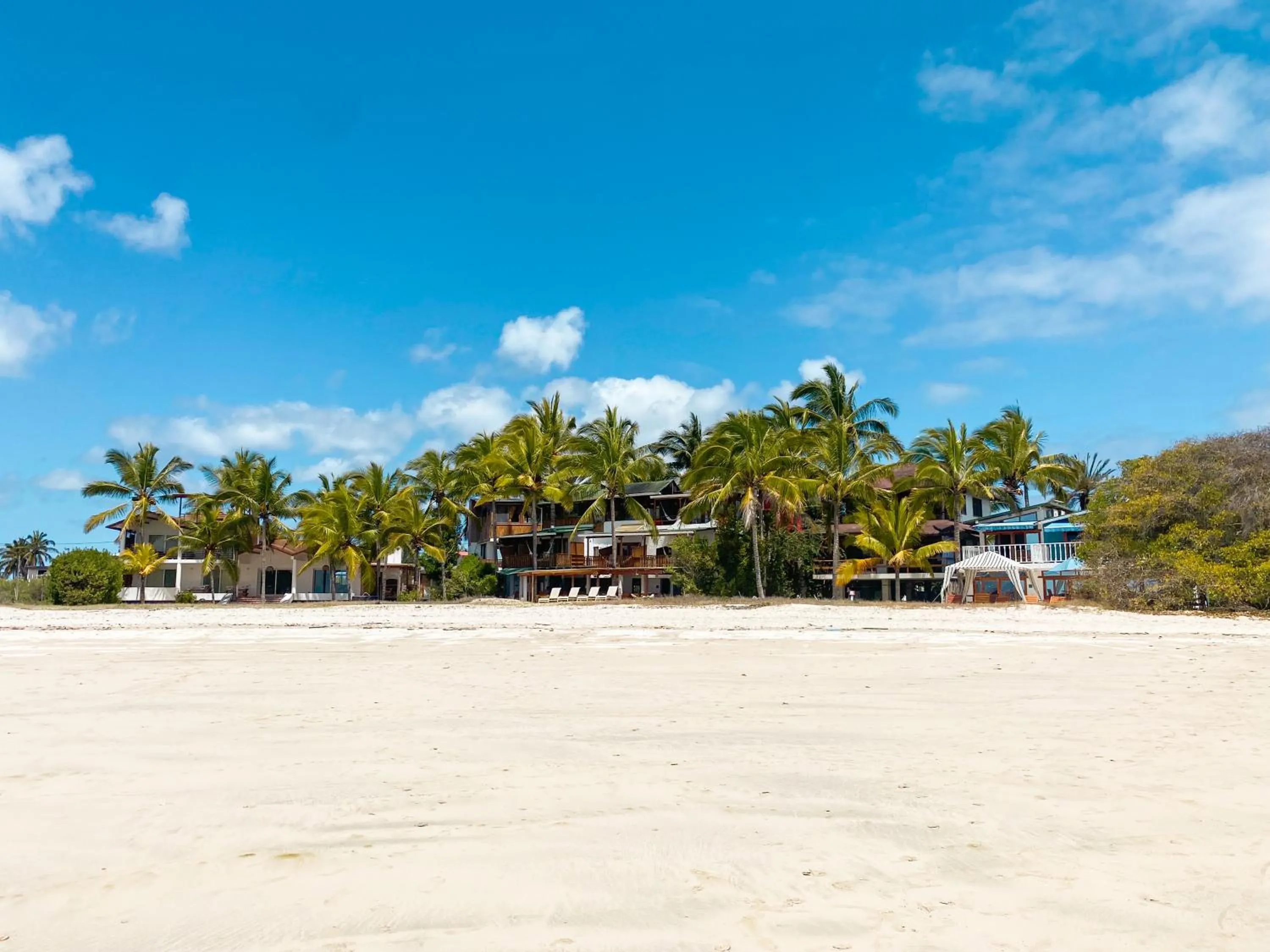 Property building in La Casa de Marita