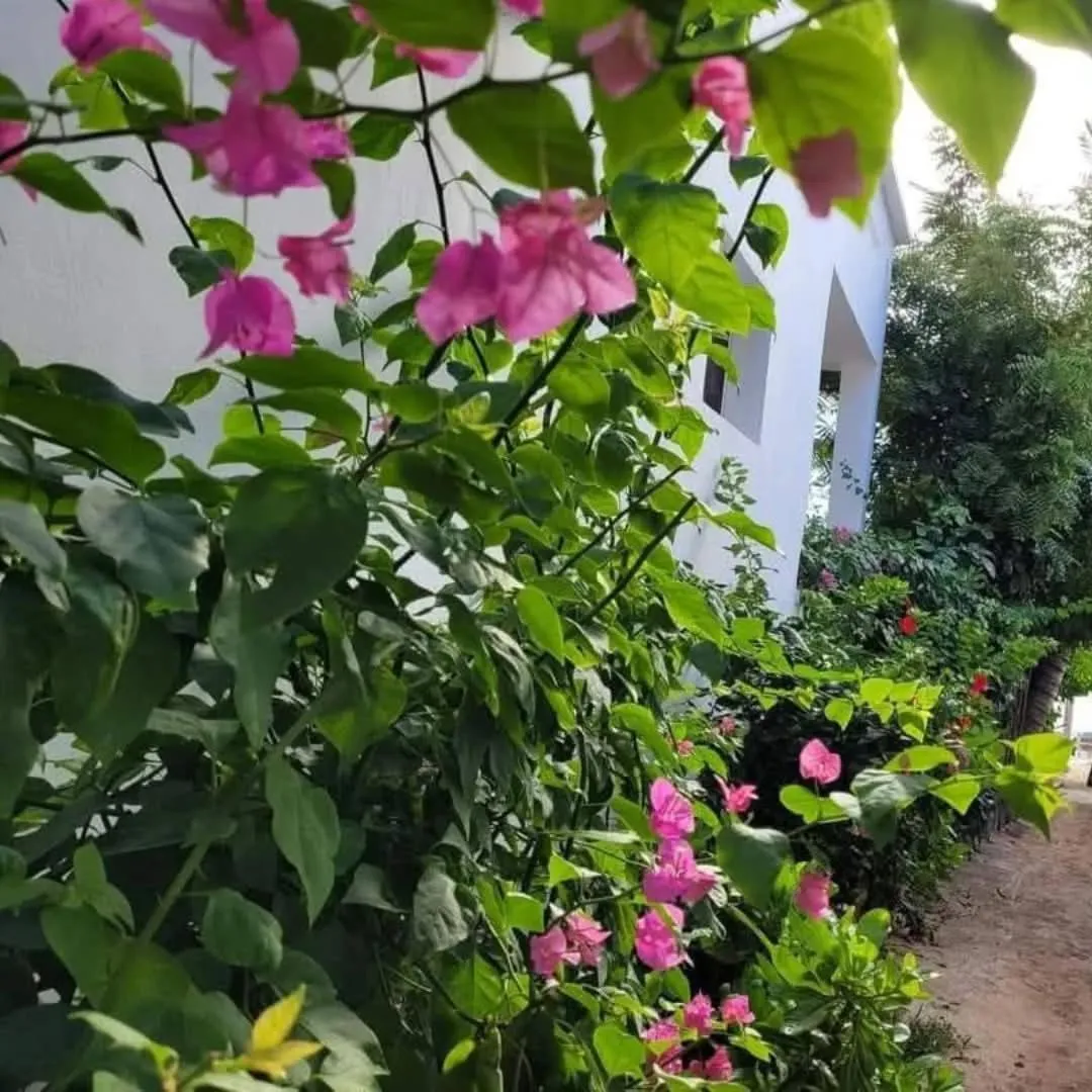 Sipano Beach Lodge Kiwengwa