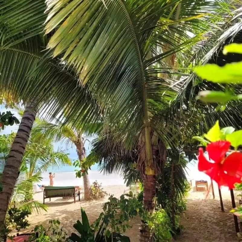 Sipano Beach Lodge Kiwengwa