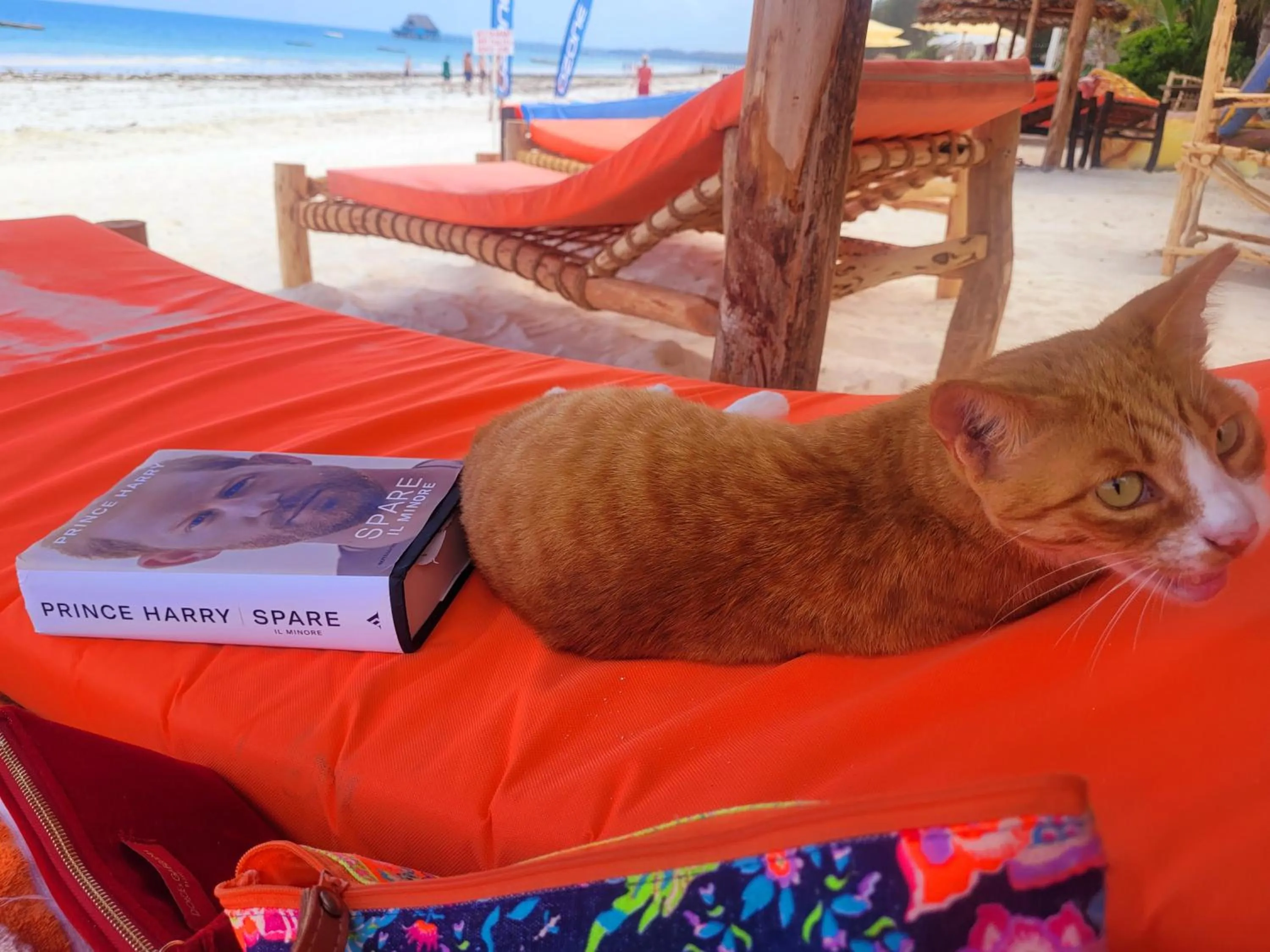 Beach in Sipano Beach Lodge Kiwengwa