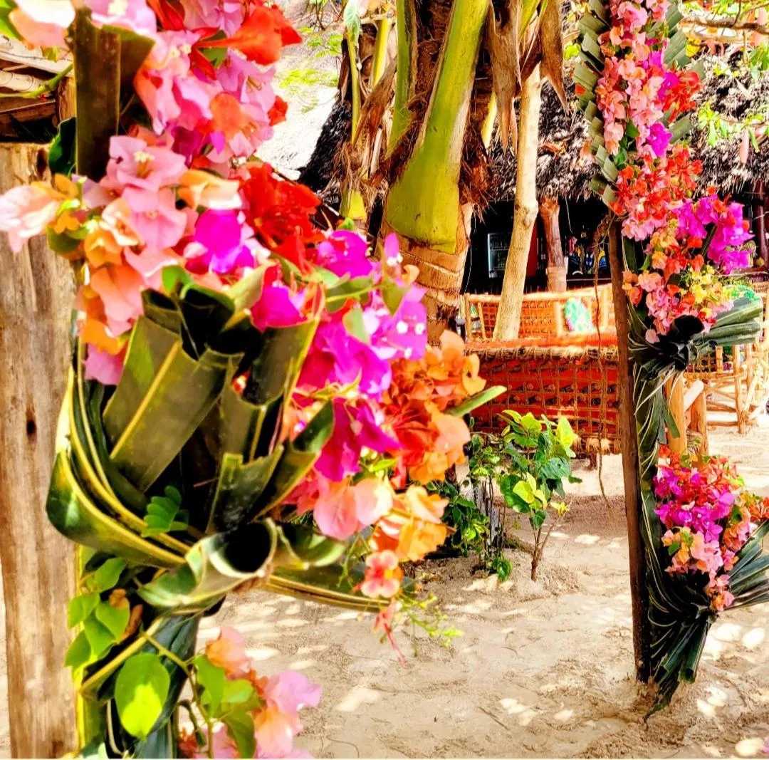 Garden in Sipano Beach Lodge Kiwengwa