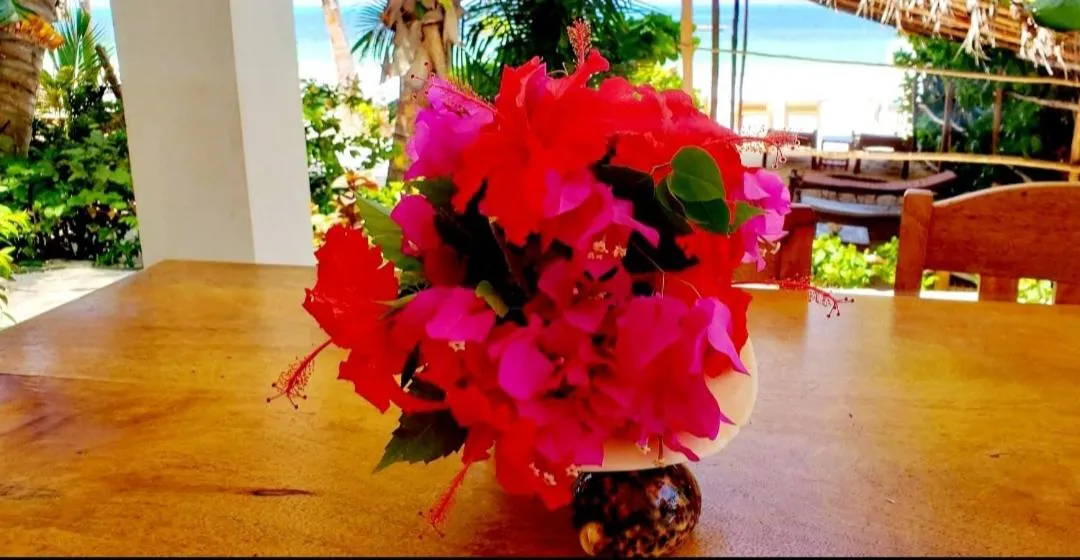 Sipano Beach Lodge Kiwengwa