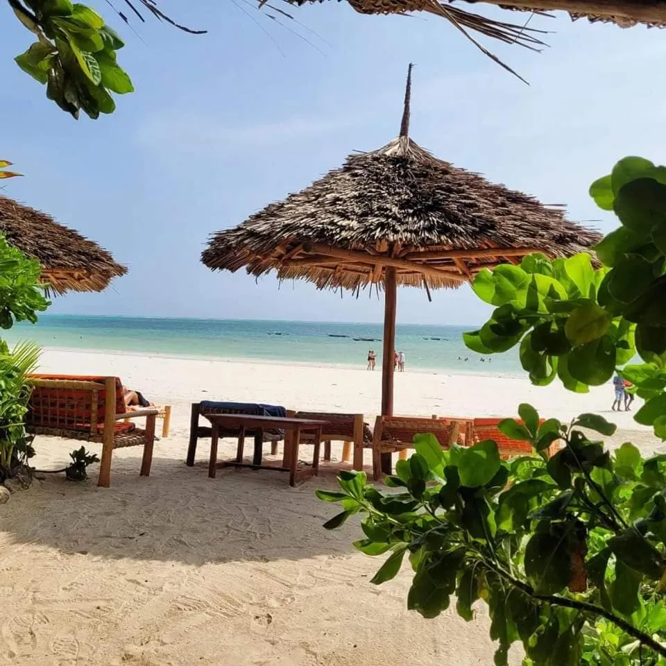 Beach in Sipano Beach Lodge Kiwengwa