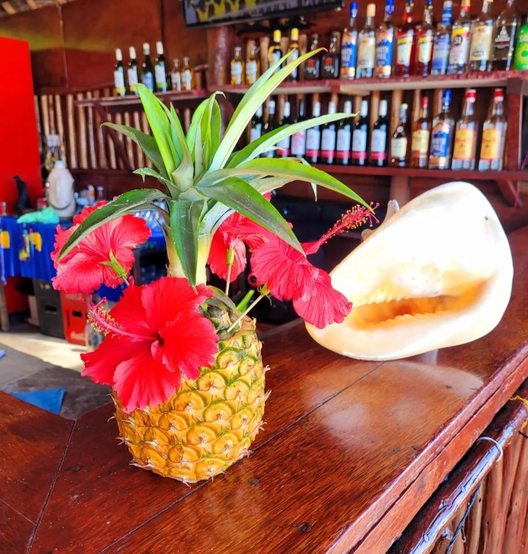 Food in Sipano Beach Lodge Kiwengwa