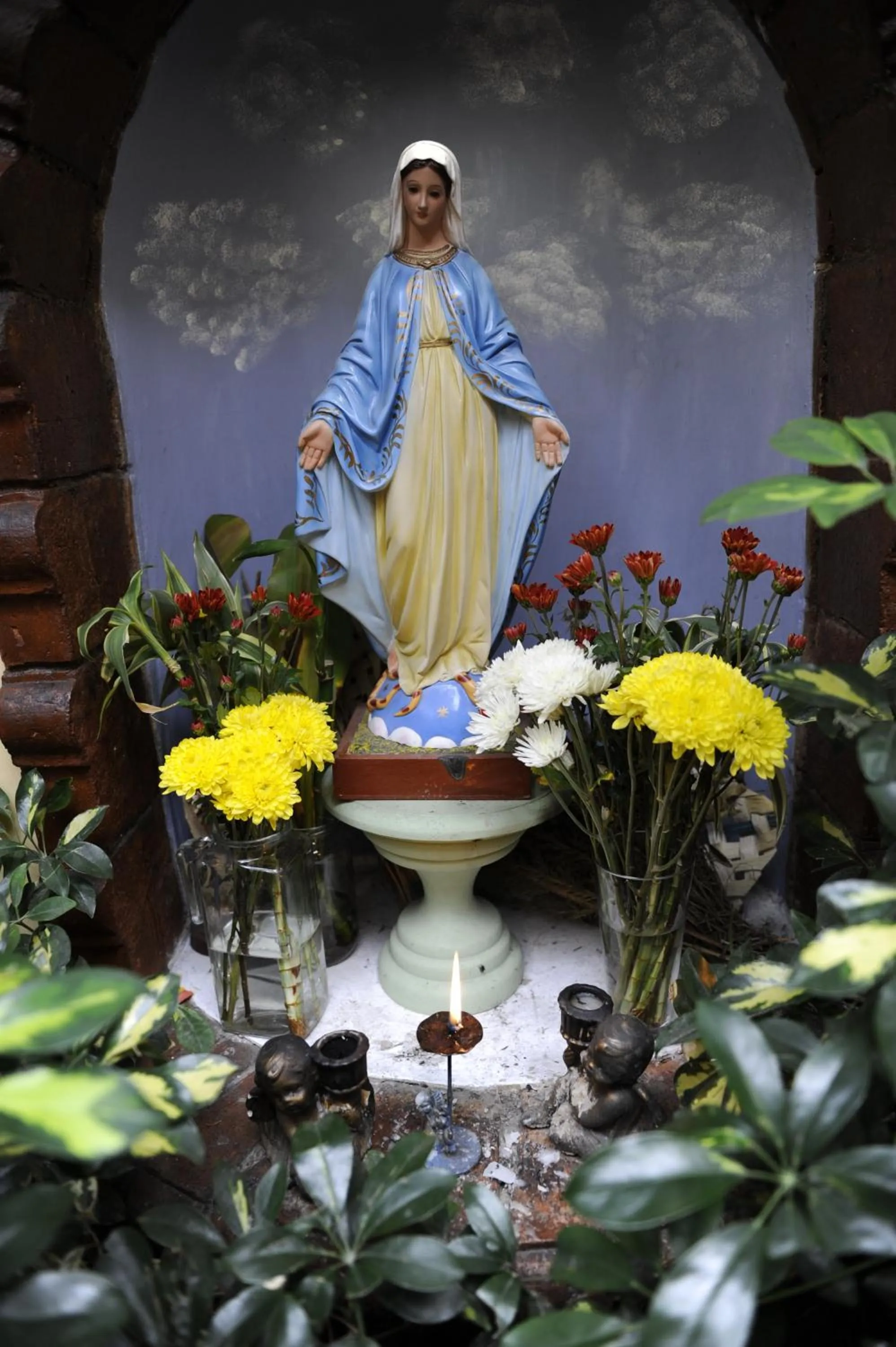 Garden in Hotel Posada del Angel