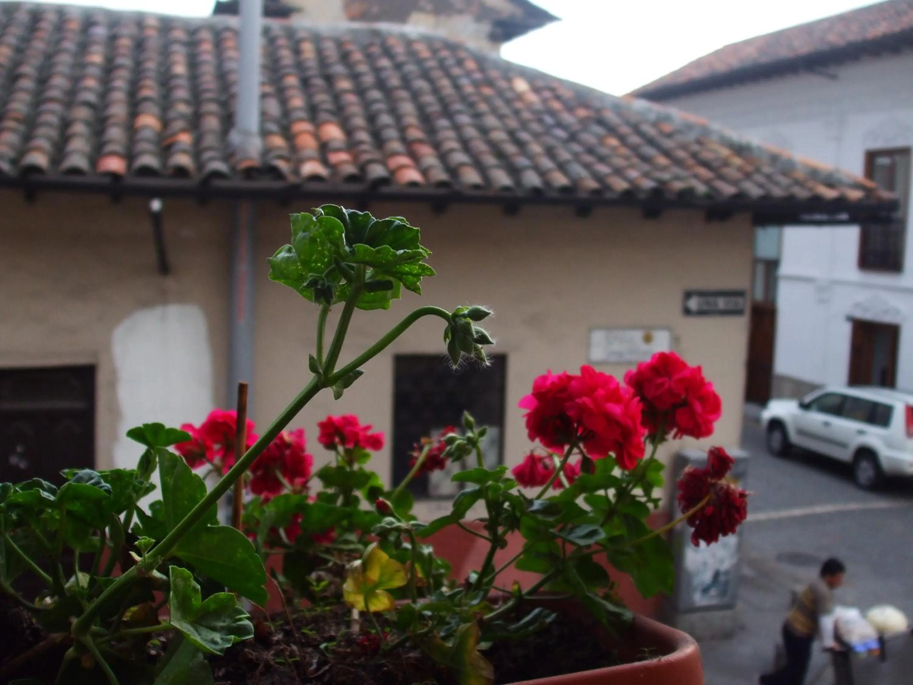 View (from property/room) in Hotel Posada del Angel
